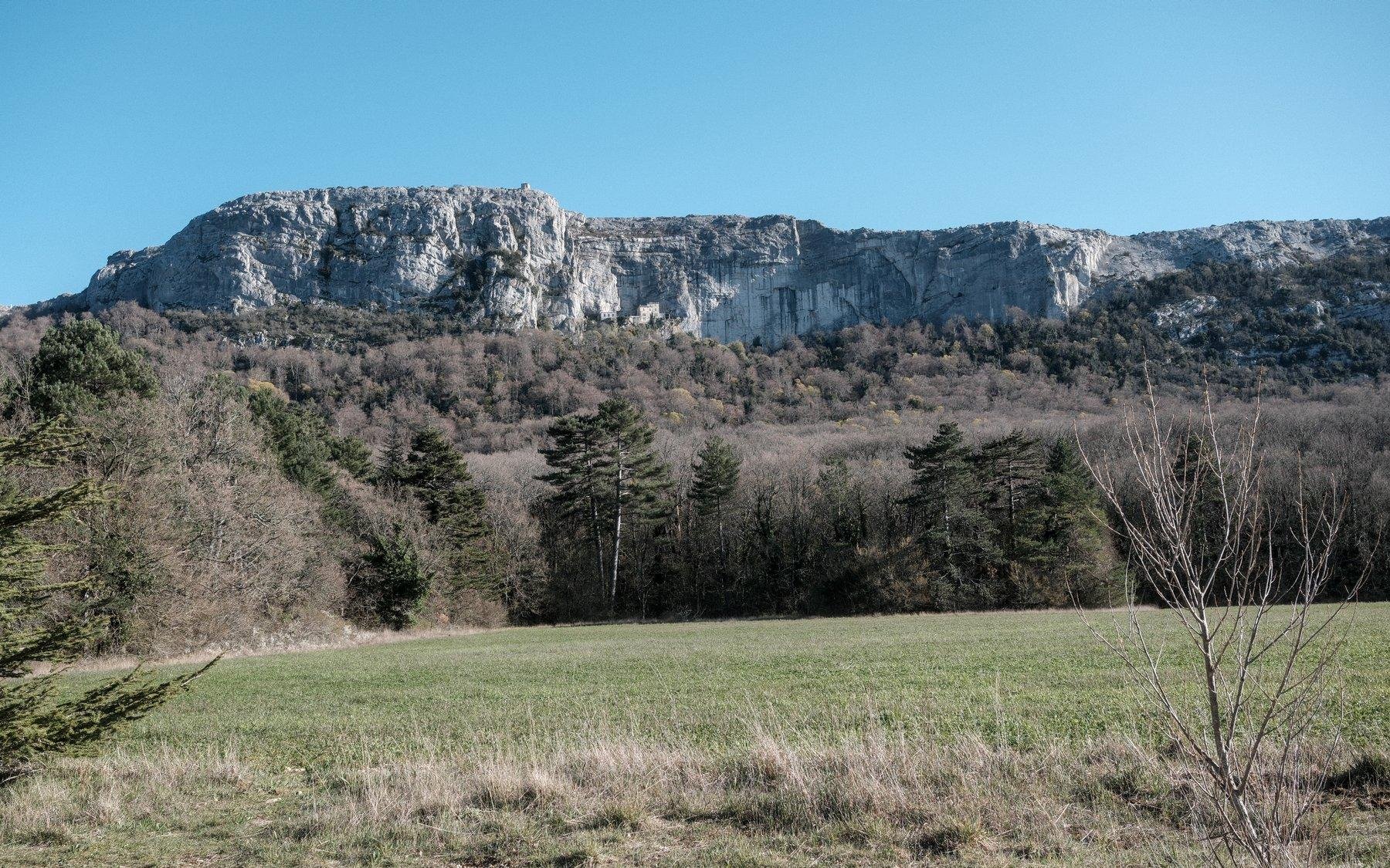 Photo horizontale. Au premier plan, une plaine d’herbe jaune et verte pâle, puis au second plan, des conifères et enfin, le massif de la Sainte-Baume et ses falaises