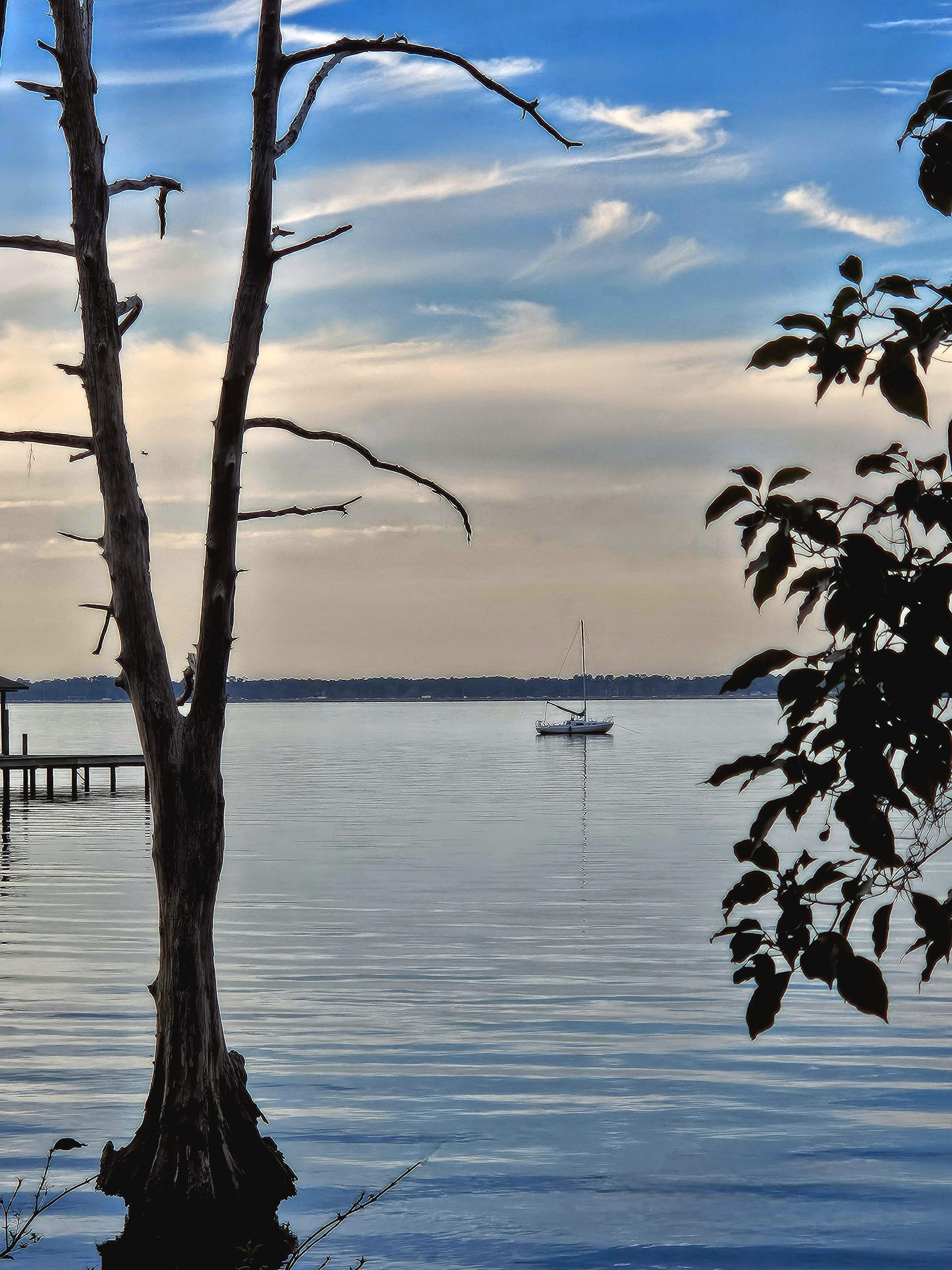 River with still water reflecting the sky, a lone sailboat in the distance. A bare cypress tree on the left and leafy branches on the right frame the scene. A dock extends from the left edge. The sky is partly cloudy with blue and white tones.