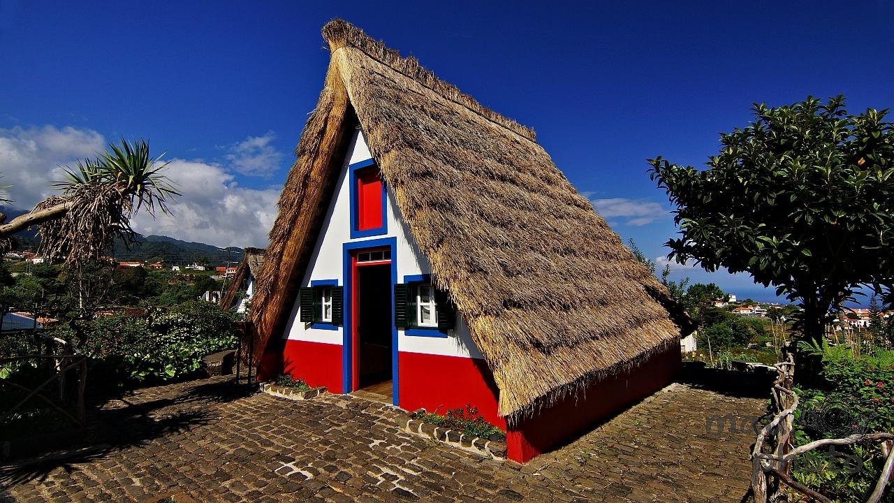 This image shows a traditional Santana house from Madeira, Portugal. These houses are characterized by their distinctive triangular shape, thatched roof, and colorful façade. The structure is set against a backdrop of clear skies and greenery, contributing to a picturesque rural scene.