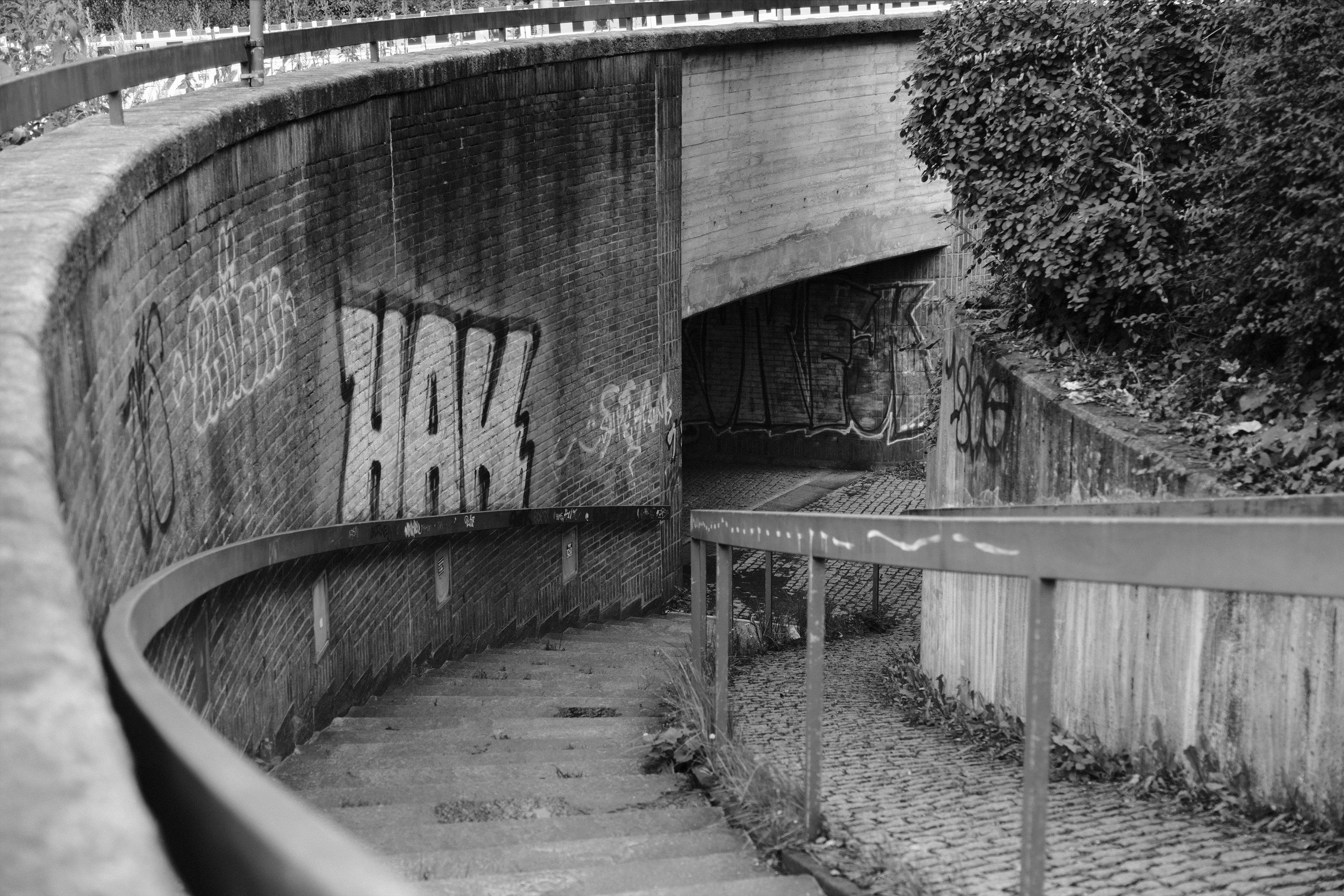 Curving concrete stairway with metal handrails descending alongside graffiti-covered brick walls toward an underpass, with a cobblestone path and dense bushes on the right.