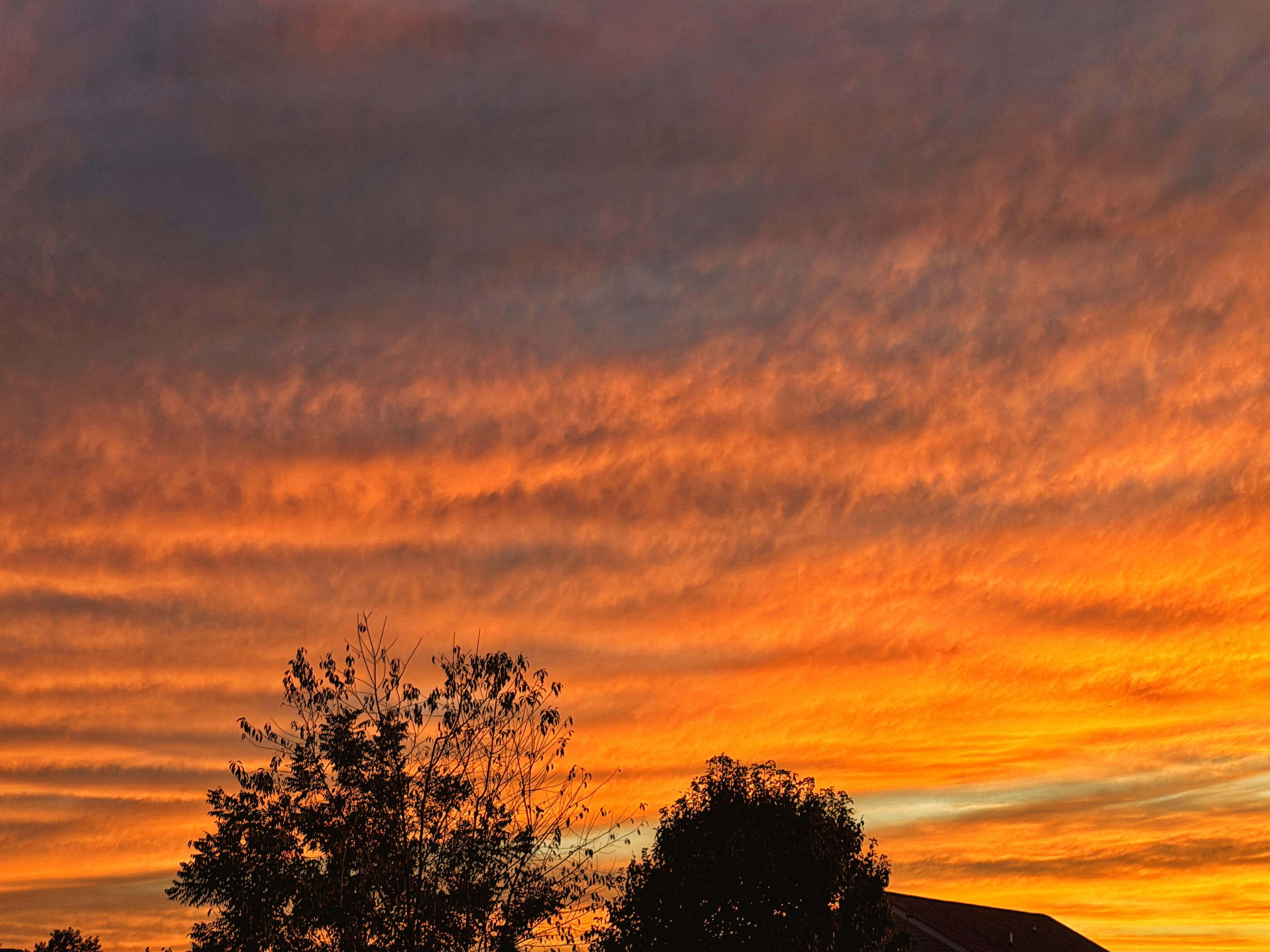 The image depicts a vibrant sunset sky with a gradient of colors ranging from deep orange to lighter shades near the horizon. Wispy clouds are scattered across the sky, illuminated by the setting sun, creating a dramatic and colorful backdrop. In the foreground, the silhouettes of trees and a house are visible, adding depth to the scene. The trees have a mix of leafy and bare branches, suggesting a transition between seasons. The house, with its dark roof, is partially obscured by the trees, contributing to the overall serene and picturesque quality of the image.