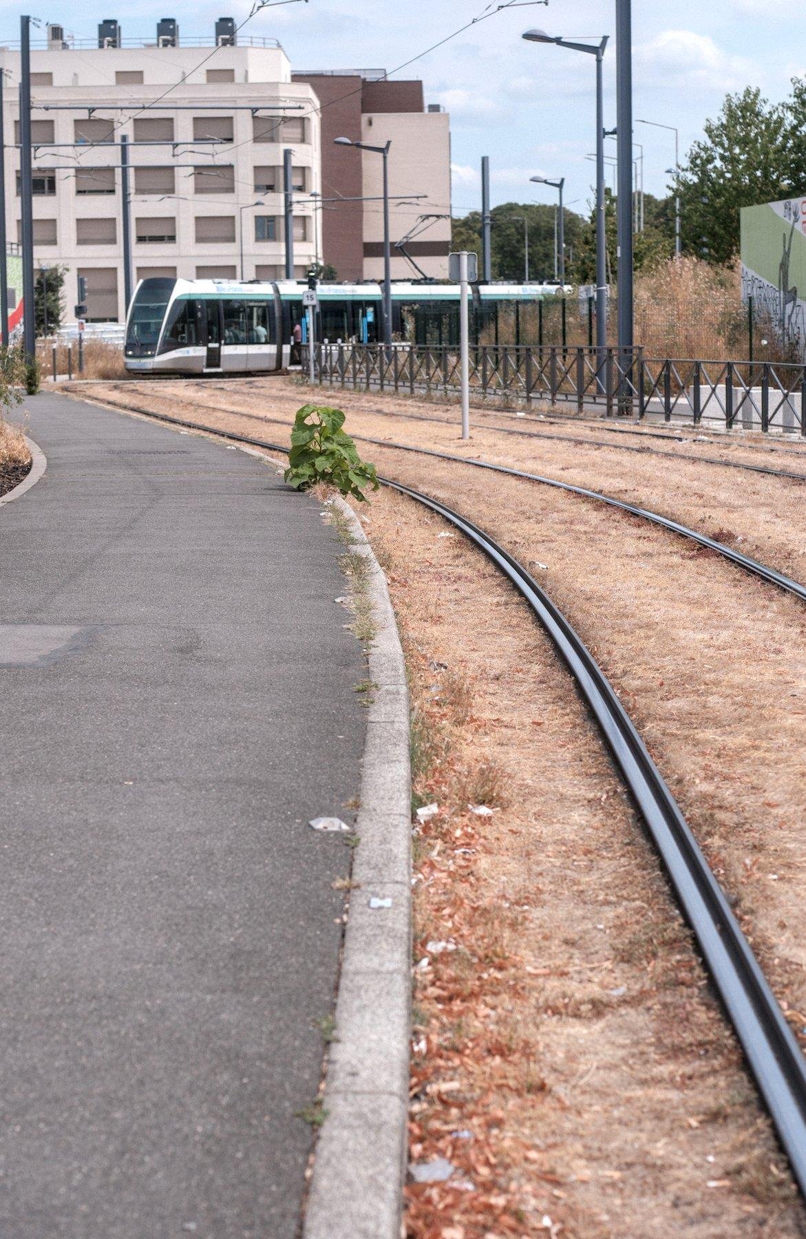 Photo verticale. Une voie de tramway à la pelouse jaunie par la canicule. À gauche, un trottoir bitumé suis la courbe des rails et au fond, devant un petit immeuble de 5 étages beige, un tramway parisien approche