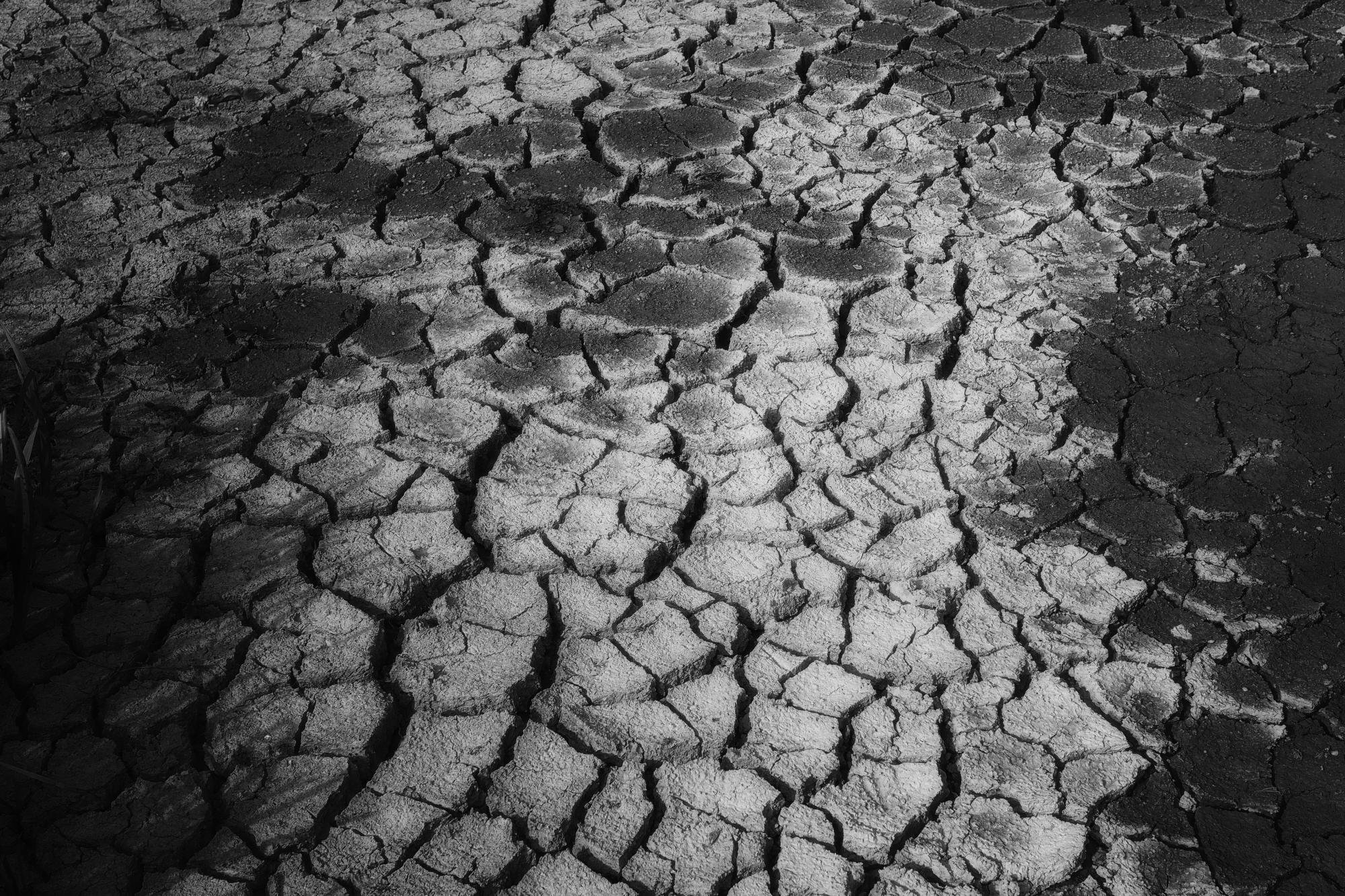 Close-up of cracked, dry ground with irregular polygon patterns, lit from the right with shadows emphasizing the fissures across the frame.