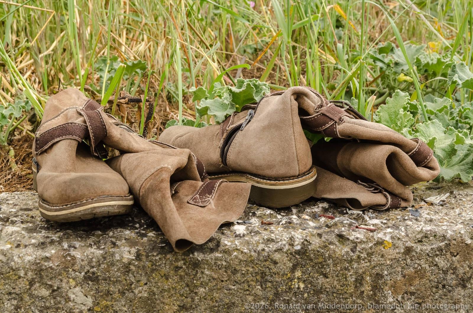 Pair of tan suede boots lying on a stone ledge, with straps and rolled shafts, set against tall grass and leafy weeds in the background.
