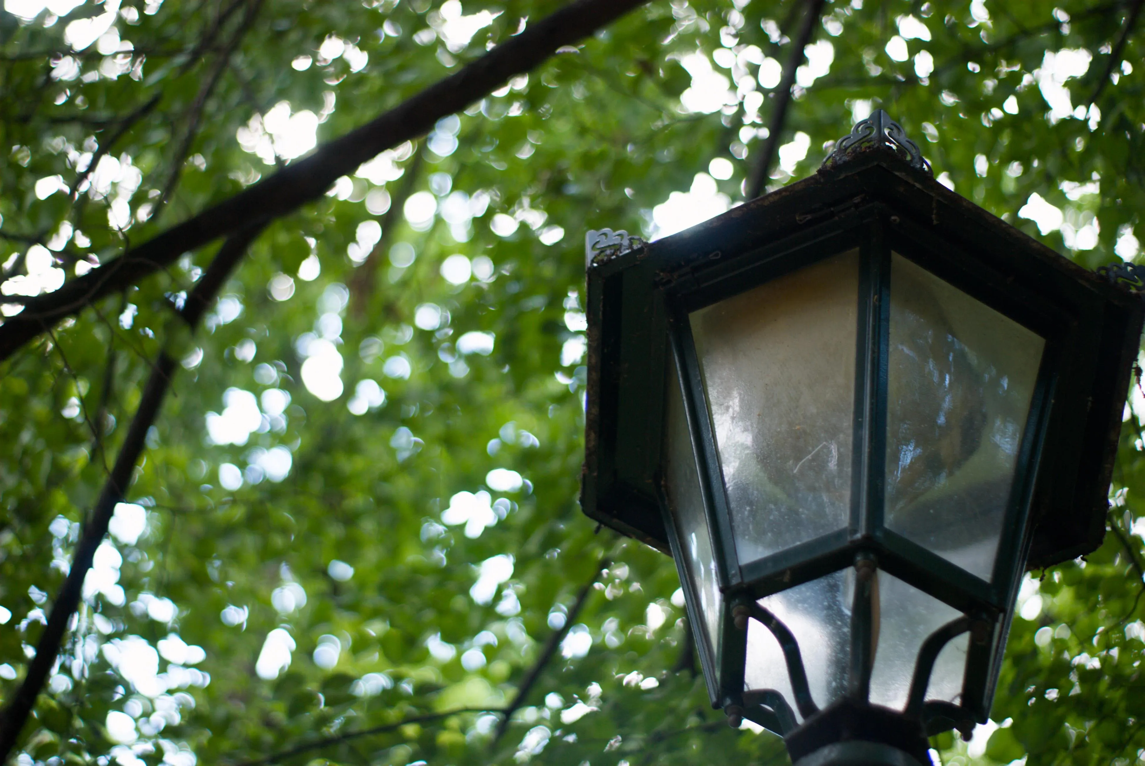 A photo of a street lamp