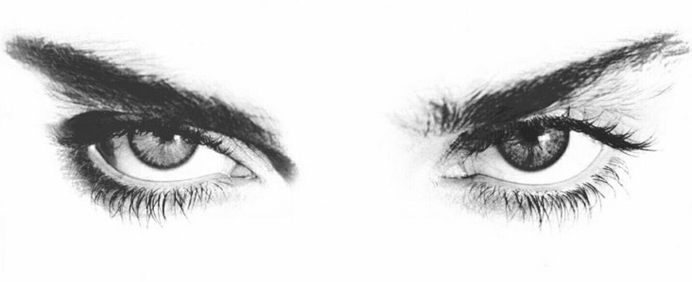header profile