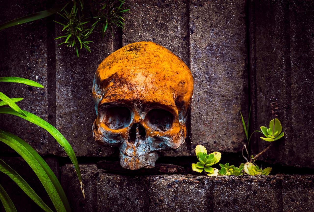 The image shows a painted skull resting against a stone or brick surface. The skull has a weathered, rustic appearance with a mix of orange and blue hues. There are some green plants growing around it, adding a natural element to the scene.