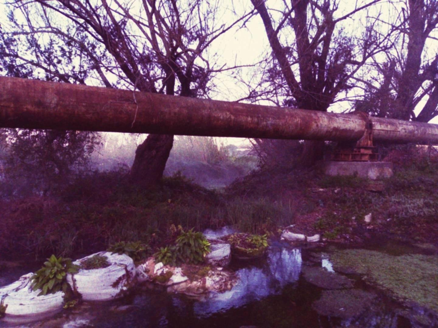 Pozza d'acqua sovrastata da una grossa conduttura idrica, in un'atmosfera lugubre di foschia e rami spogli.