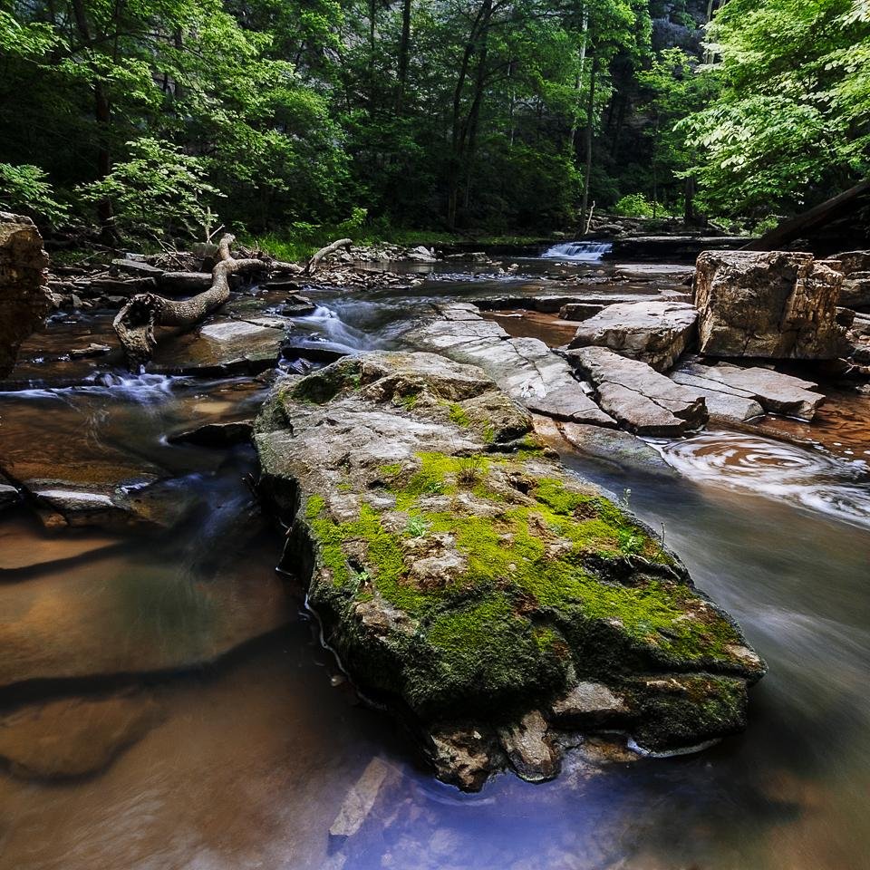 Moss-covered rock in the foreground of a shallow forest stream, with water flowing over flat stone slabs and around fallen branches, and dense green trees lining the banks in the background.