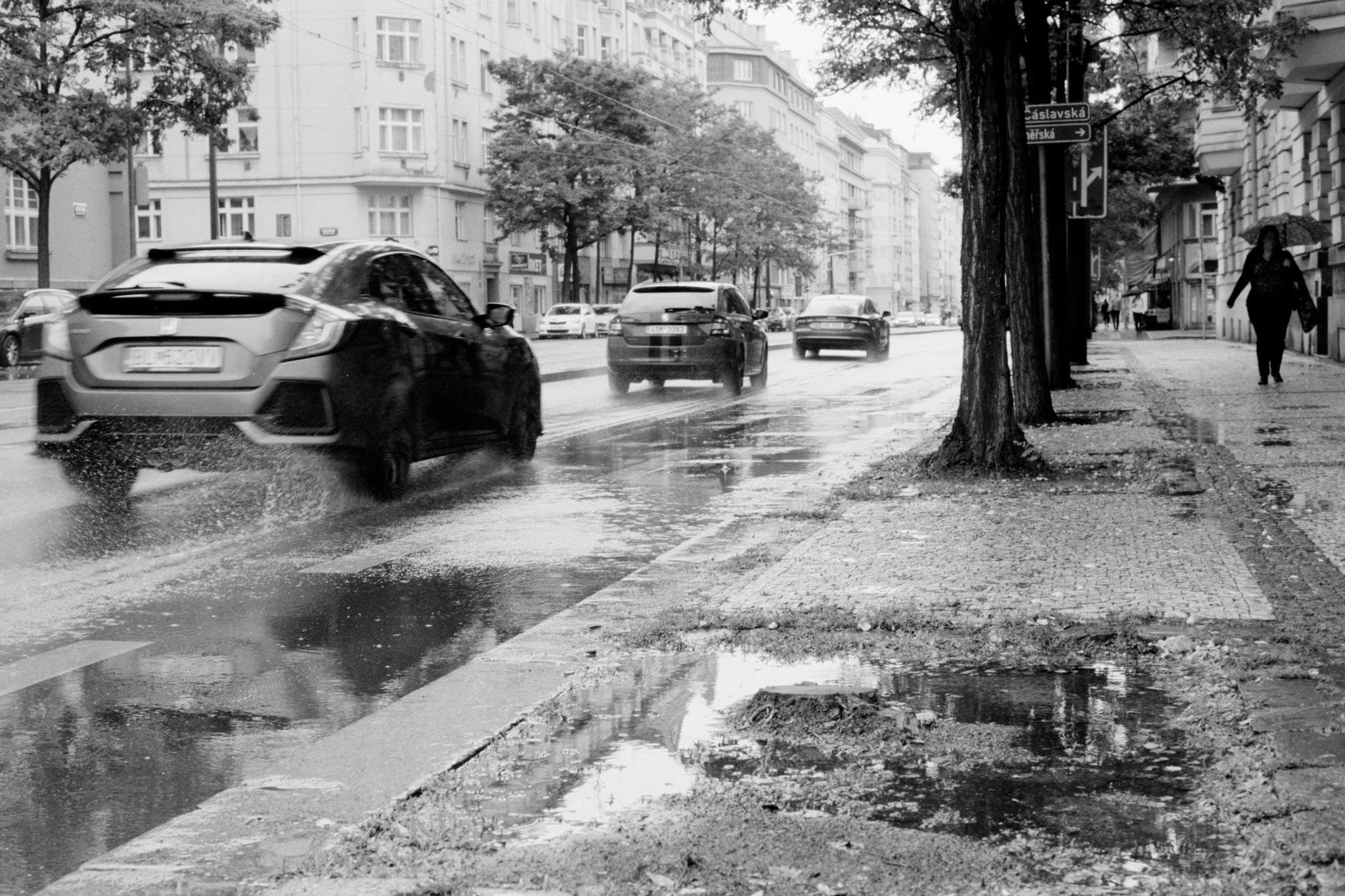 Black-and-white street scene on a rainy day with cars driving along a wet road, water spray behind a car in the left foreground, puddles on the sidewalk at right, and tall trees and apartment buildings lining the street; a pedestrian walks in the distance near street signs.