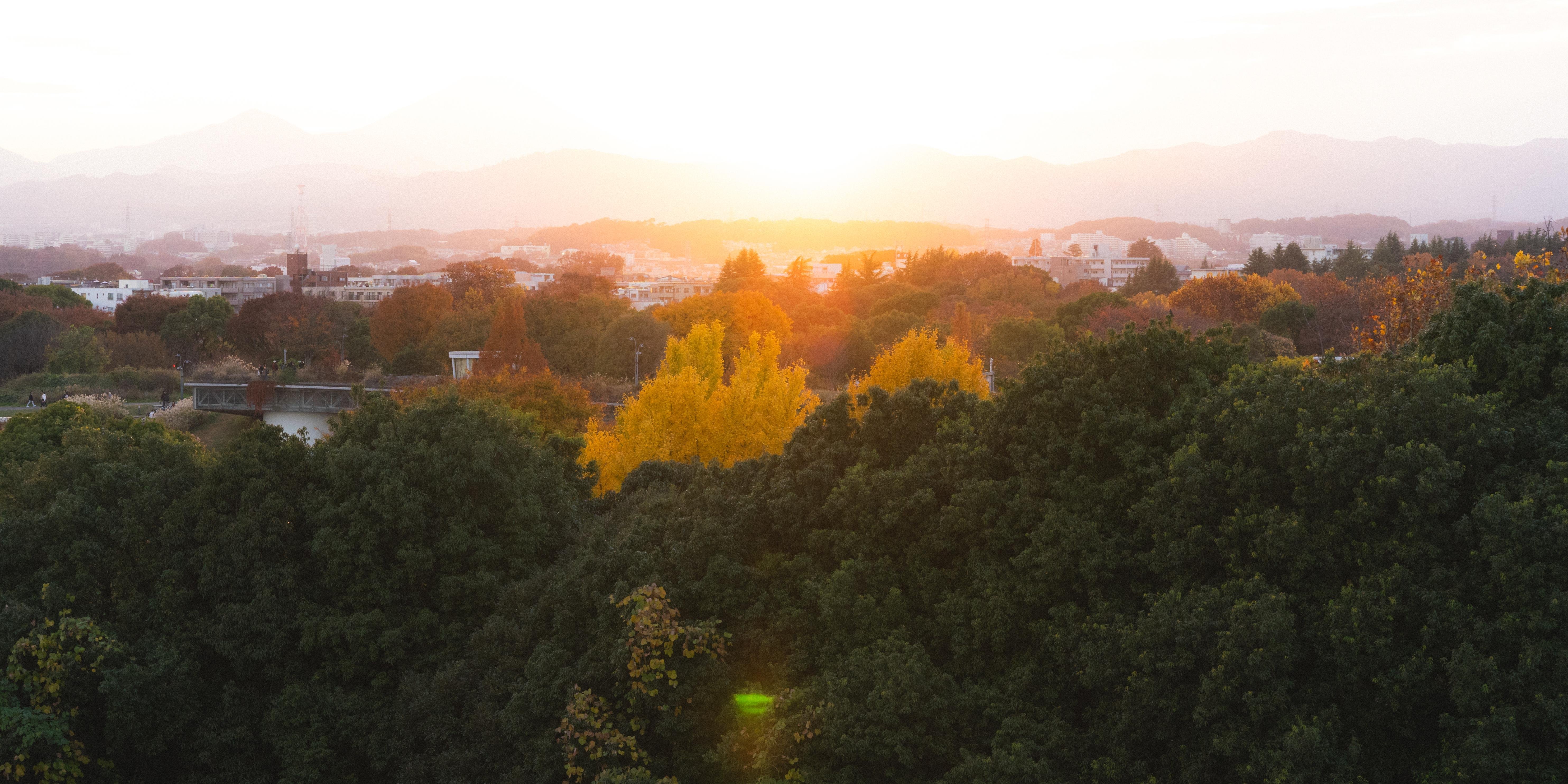 Sunset view over a landscape with dense green trees in the foreground, featuring vibrant yellow trees and a cityscape in the middle ground. The background is dominated by gently rolling mountains, softly lit by the setting sun, creating a warm and serene atmosphere.
