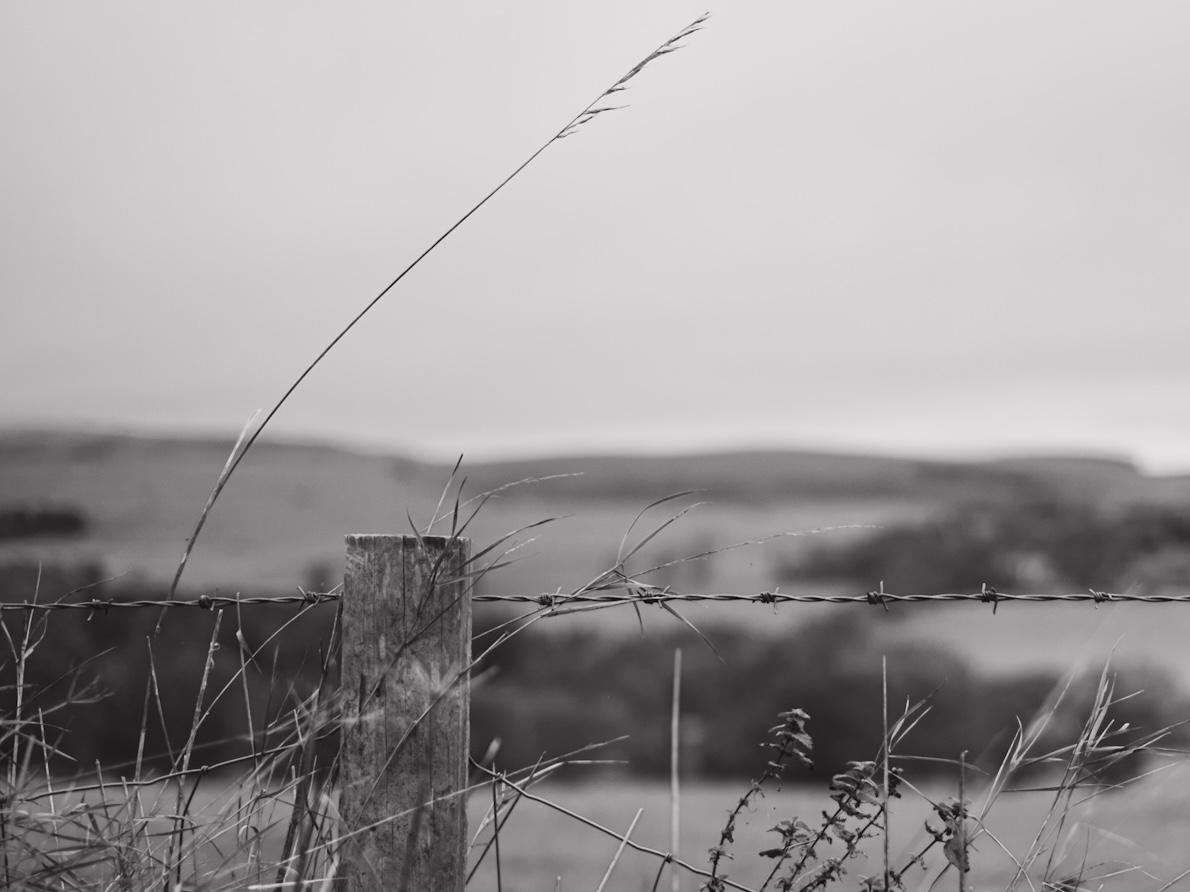 Black and white image of a rural landscape with a wooden post and barbed wire fence in the foreground. Tall grass surround the post. Rolling hills are visible in the blurred background under an overcast sky.
