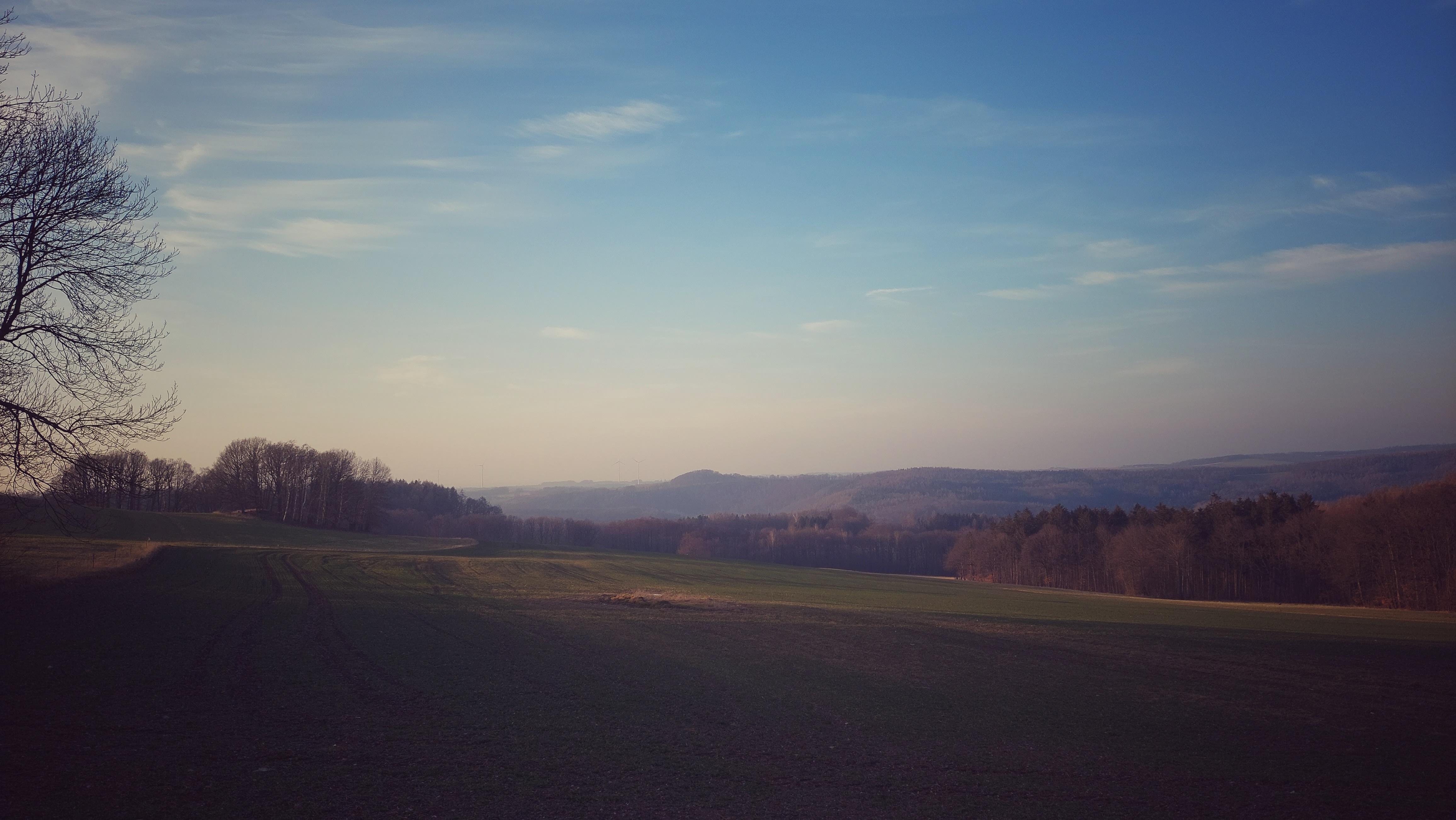 The image shows a serene landscape with a vast open field extending into the distance. The foreground has grassy terrain, while the background features rolling hills and a sparse forest. The sky is clear, with a few scattered clouds, indicating a peaceful and calm atmosphere. It appears to be either early morning or late afternoon based on the lighting.
