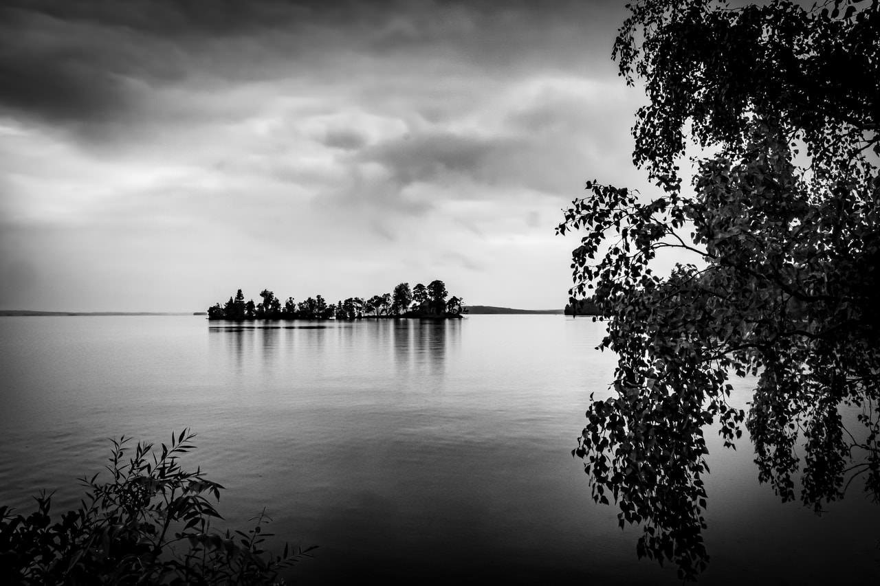 Black and white image of a calm lake with a small island in the distance, densely covered with trees. Overhanging branches frame the right side of the image, while cloudy skies reflect on the water's surface.