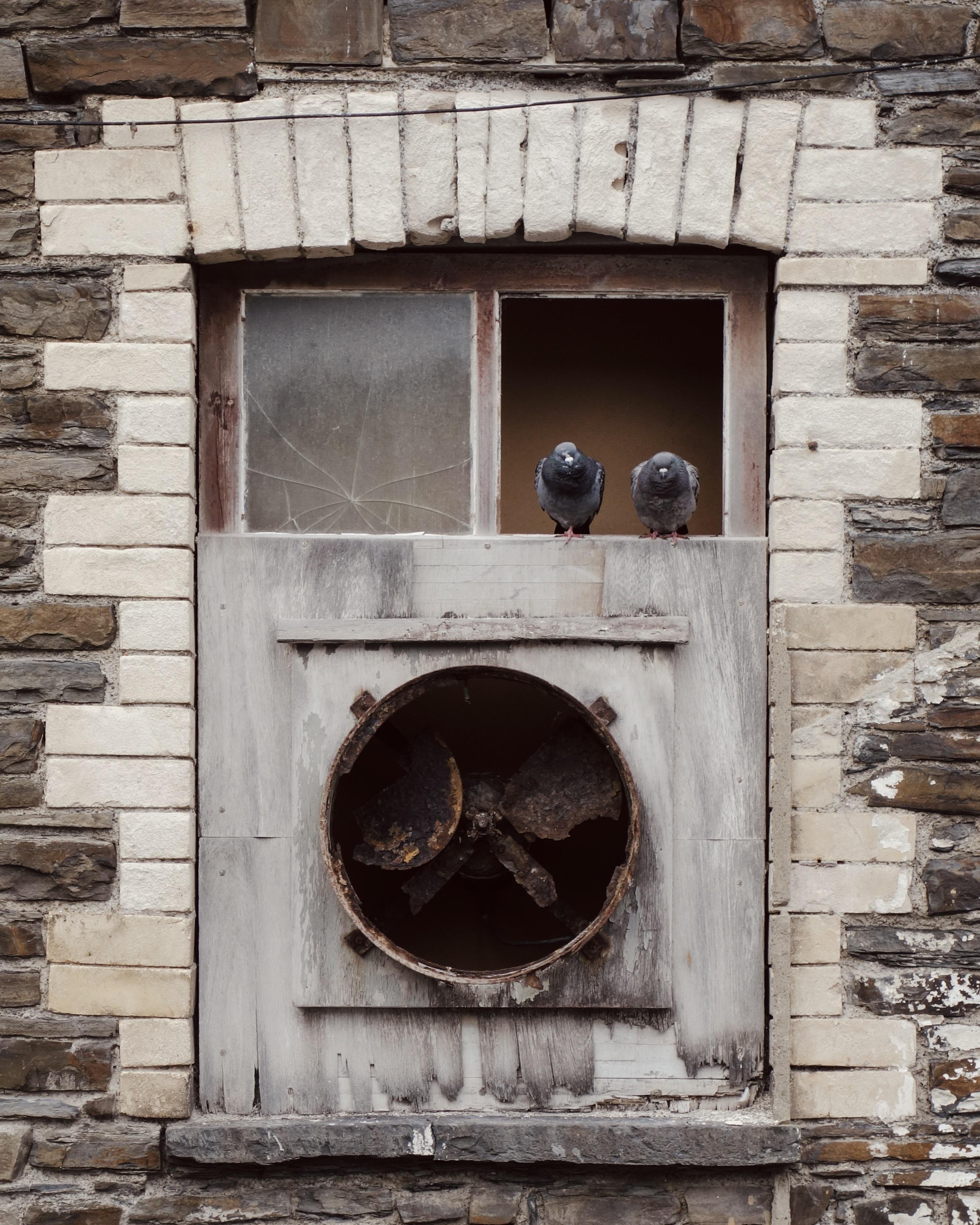Two pigeons perched on the sill of an old, weathered window set in a stone wall, with a broken pane above and a large circular ventilation opening with rusted blades below.