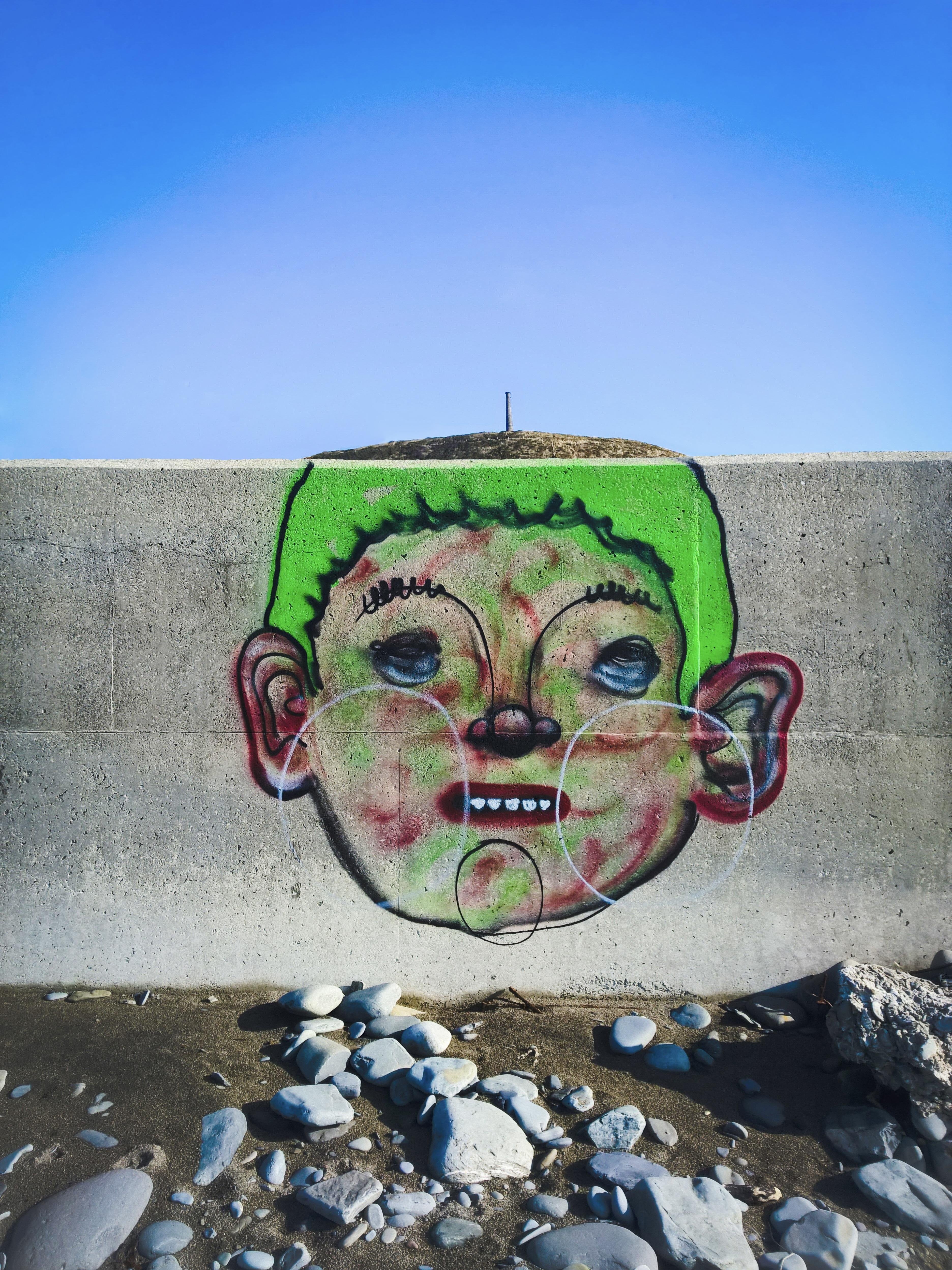 Graffiti of a cartoon face with green hair, large ears, and a toothy grin painted on a concrete wall, with white spray-painted swirl lines across the cheeks; rocky beach in the foreground and blue sky above. A hill in the background is positioned to look like the top of the face's head.