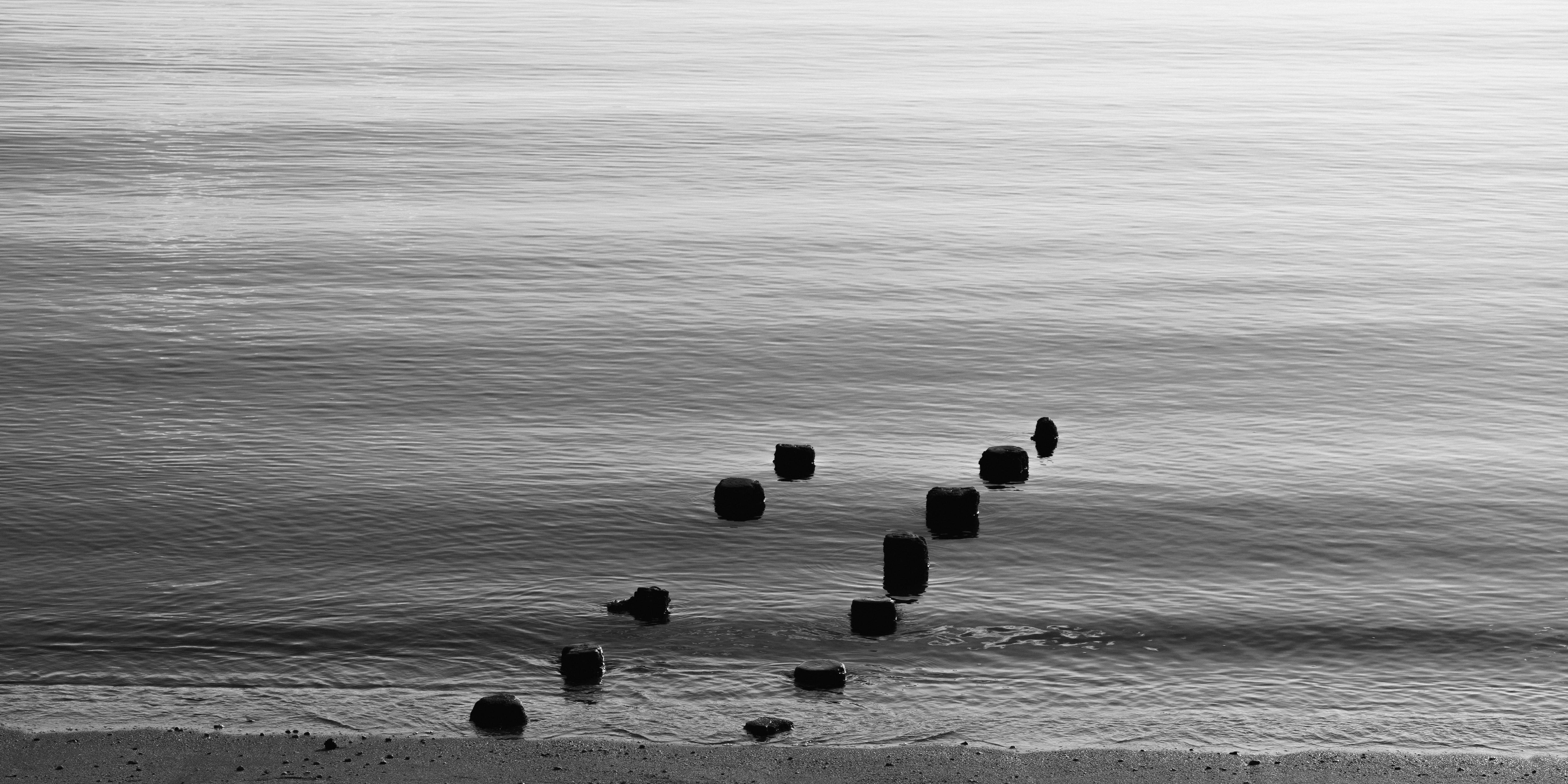 Black and white image of calm ocean water with cylindrical stone pillars emerging in a slightly curved line from the sandy shore. Gentle ripples create a subtle texture on the water’s surface.