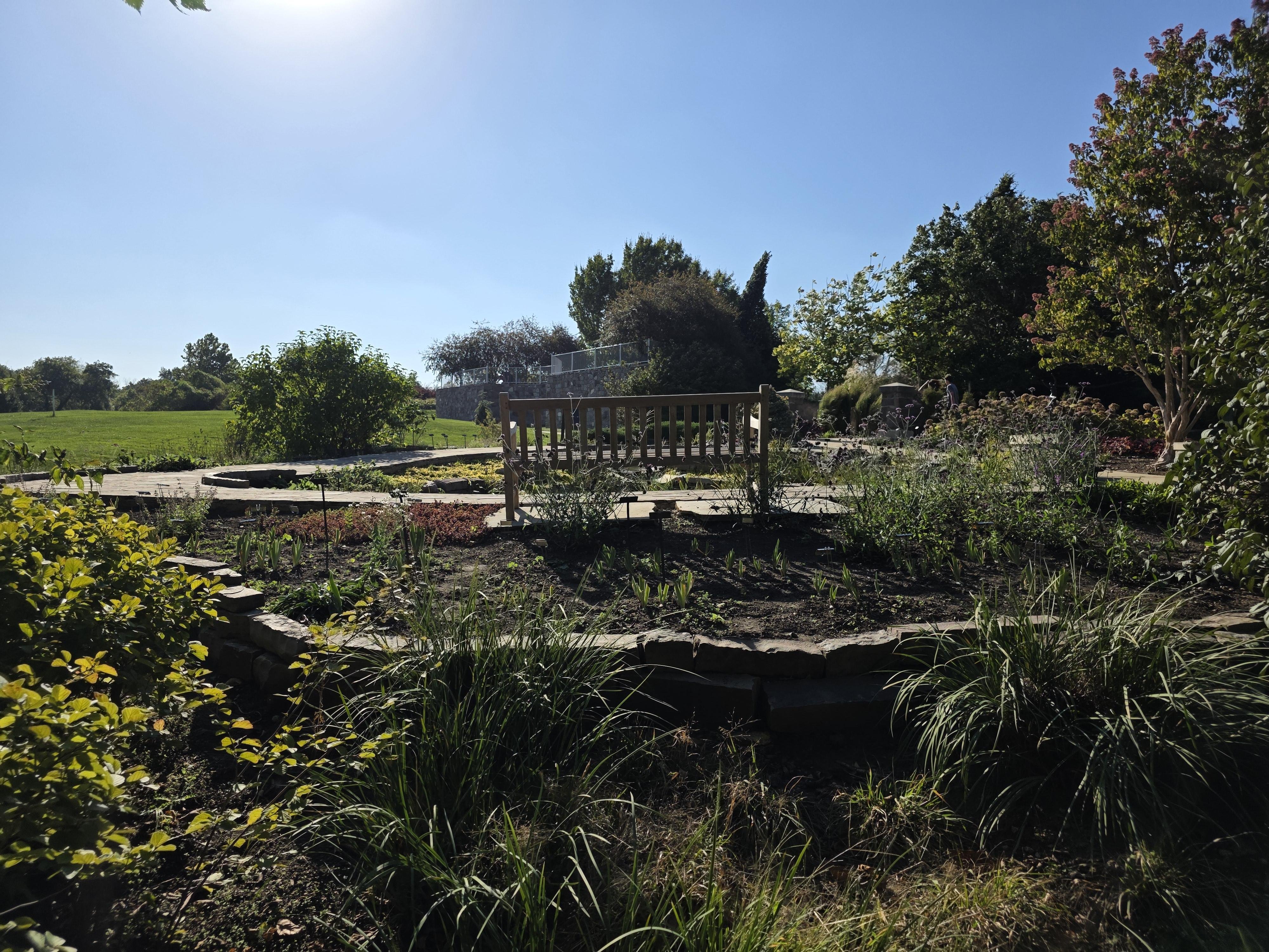 Wooden bench in a circular garden surrounded by various plants and shrubs. Sunlight casts shadows on the ground. Trees and bushes border the garden, with a field and more distant trees in the background. The sky is clear and blue.