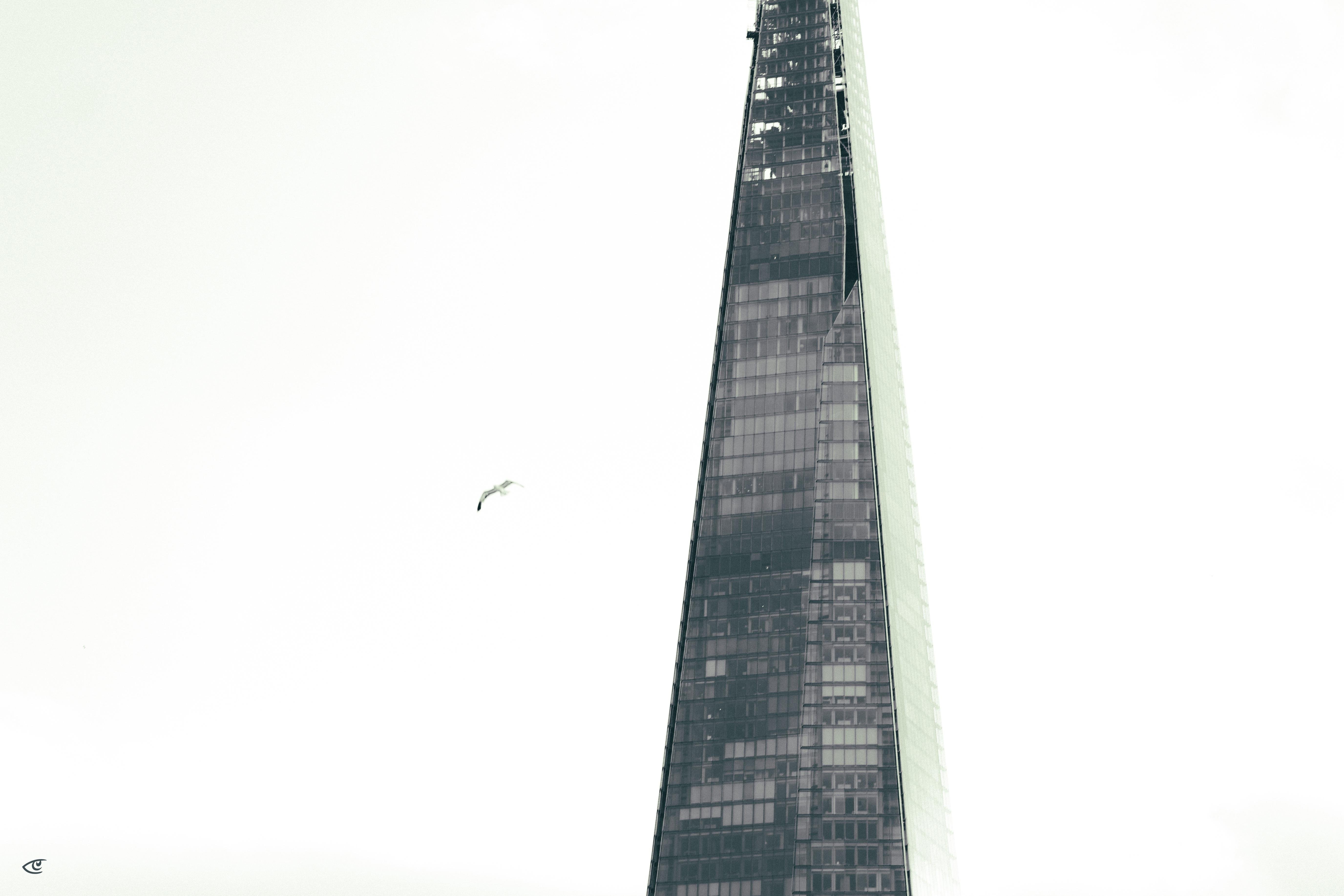 Lower portion of a tall, narrow glass skyscraper with dark window panels, rising along the right edge of the frame against a bright overcast sky; a small bird flies near the building.