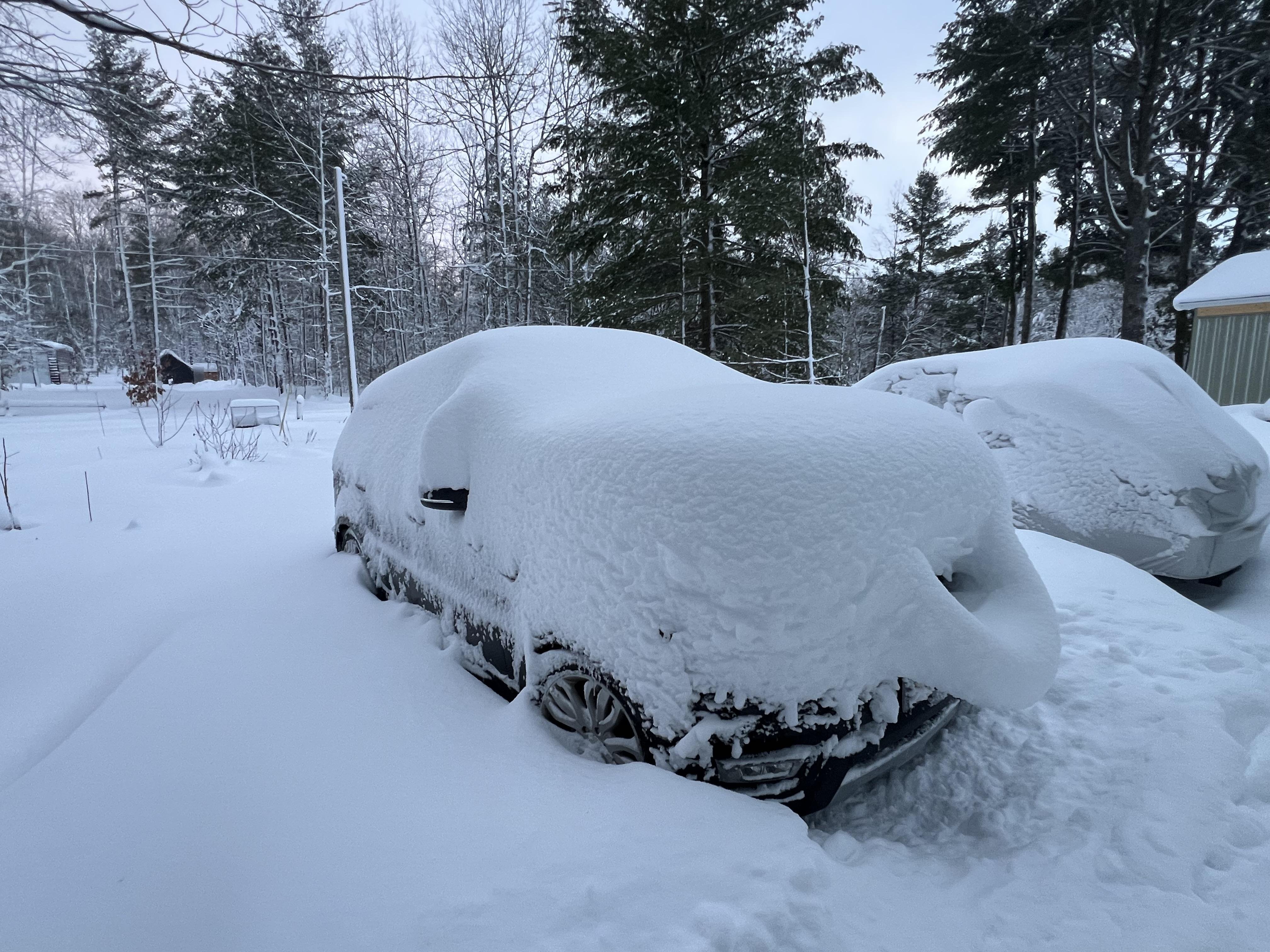 Snow has come in force