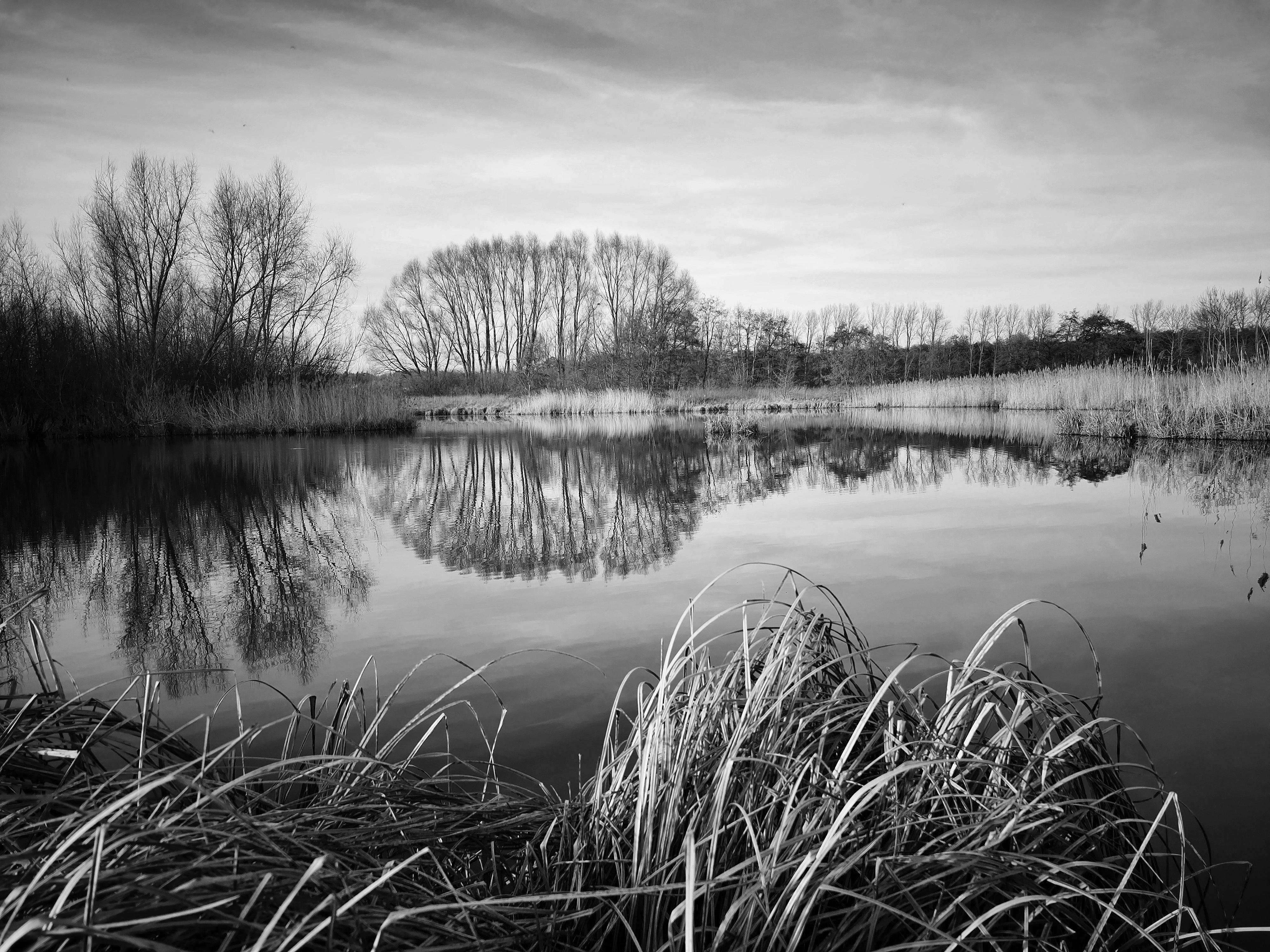 The image depicts a serene landscape in black and white. It features a calm body of water, likely a pond or lake, with tall grass or reeds in the foreground. In the background, there are leafless trees reflected in the water, suggesting a peaceful, natural setting. The sky appears overcast, adding to the tranquil atmosphere.