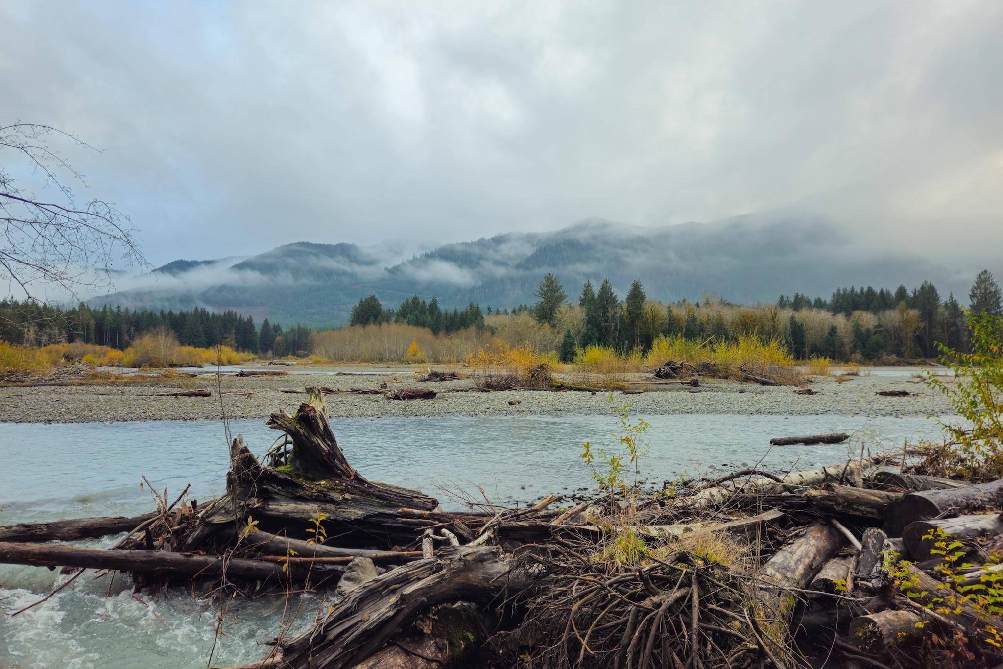 Driftwood and fallen logs piled along a rocky riverbank beside shallow water, with a wide gravel bar and autumn shrubs and evergreen trees leading to mist-covered mountains under a cloudy sky.