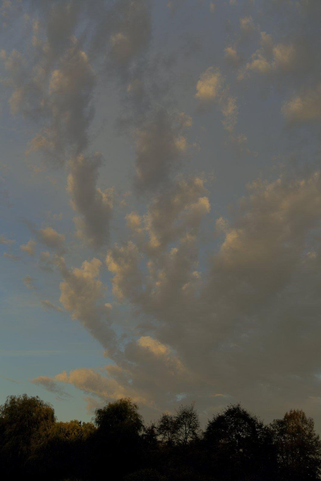 Photo verticale, la cime des arbres en bas pour un tout petit bout d’image et le ciel bleu le reste de la photo, avec des nuages qui forment comme une main aux long doigts