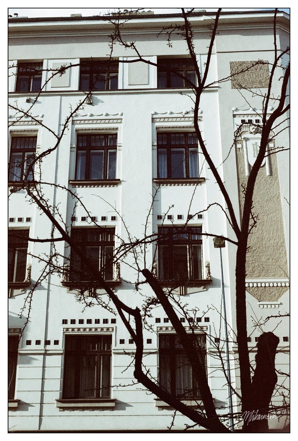 The image shows a building façade with multiple windows, featuring decorative architectural details. In front of the building, there are bare tree branches partially obscuring the view. The photo has a vintage or artistic feel to it.