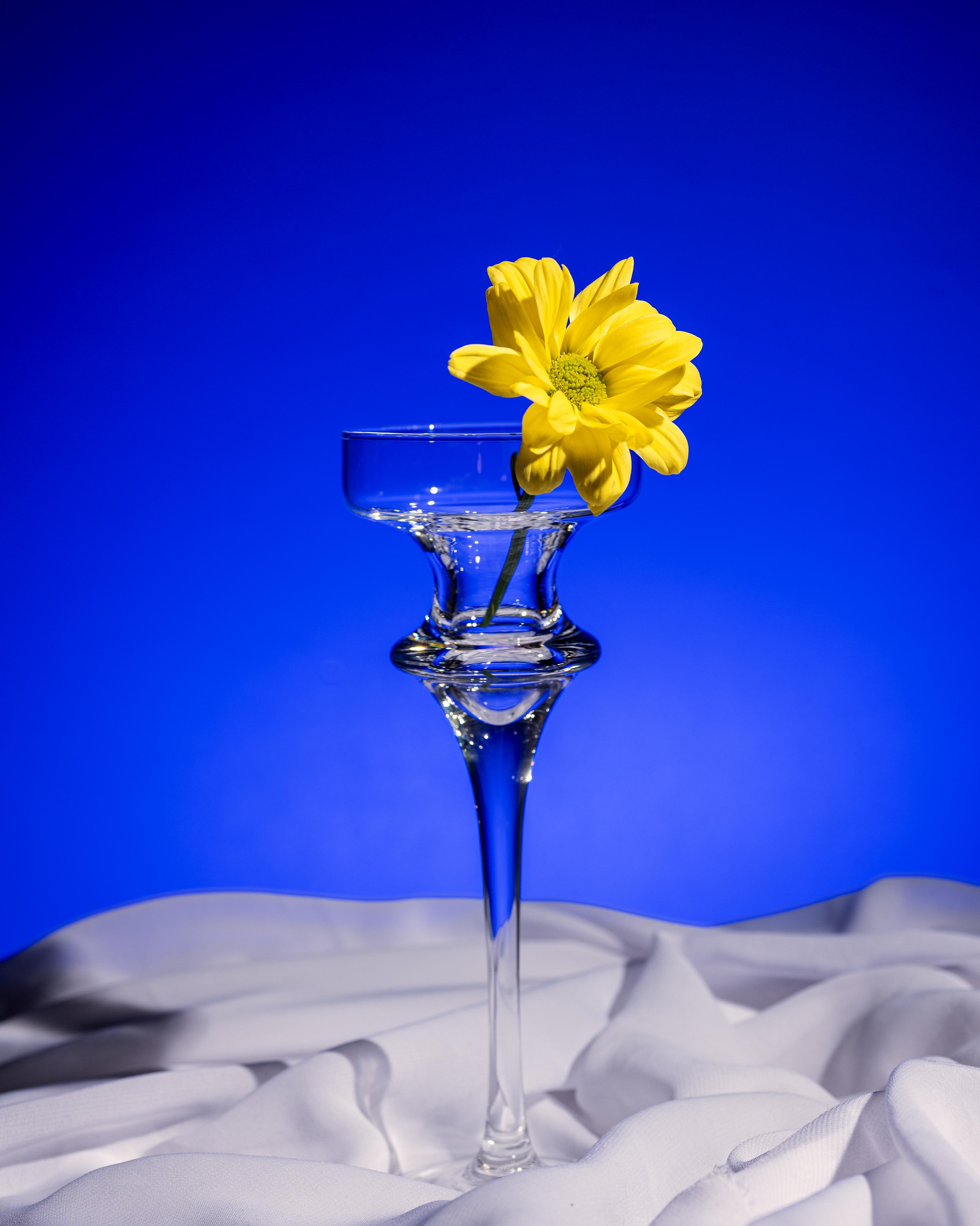 The image shows a tall, elegant glass vase with a single yellow flower in it. The background is a vibrant blue, and the vase is placed on a white fabric.