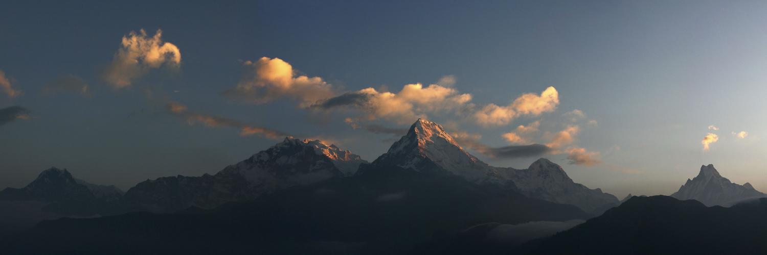 header profile