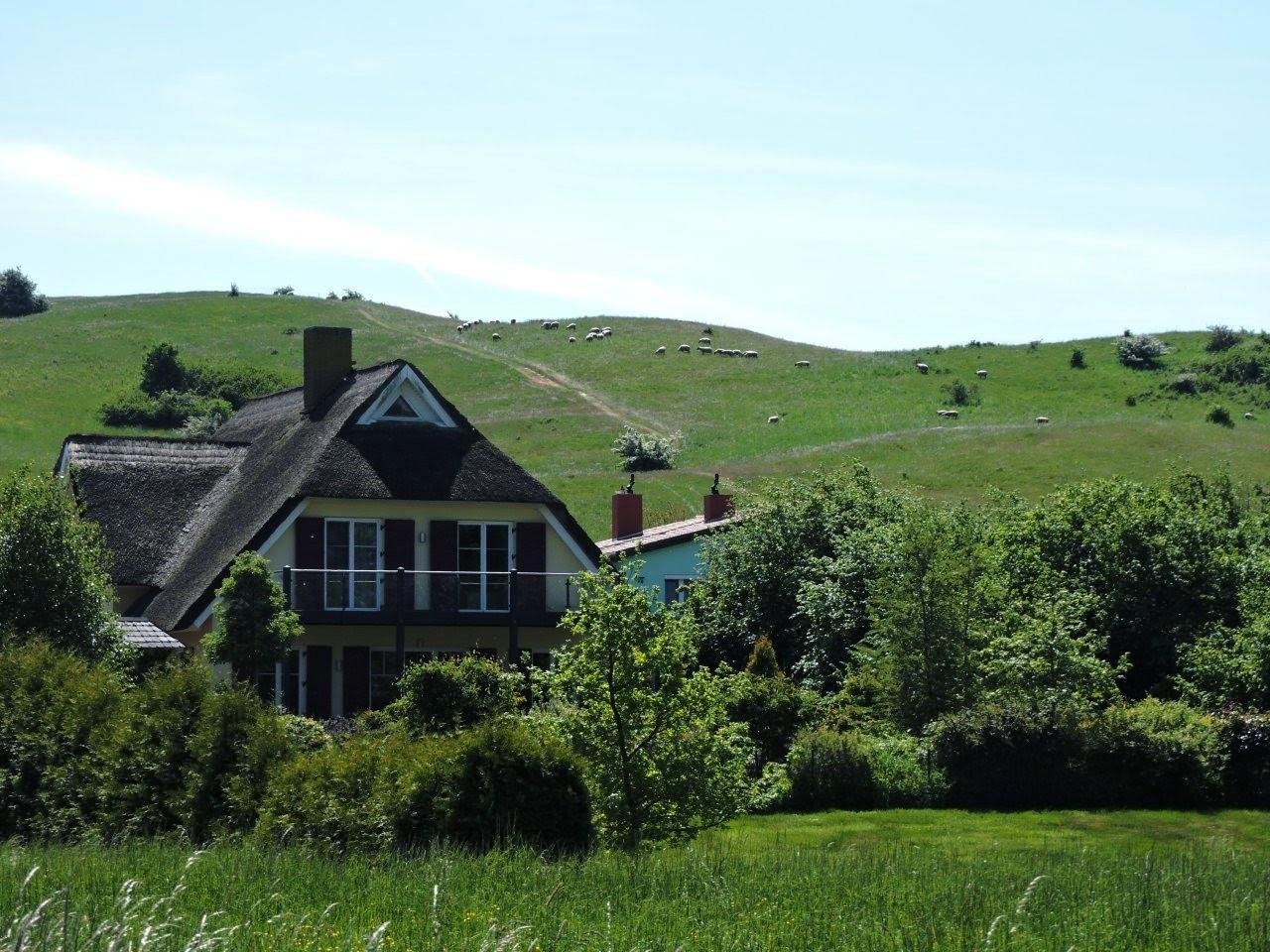 A cottage with a thatched roof and a chimney is surrounded by greenery, including bushes and trees. In the background, a grassy hill slopes upward with small dots of white, likely sheep, scattered across it. A clear blue sky stretches above.