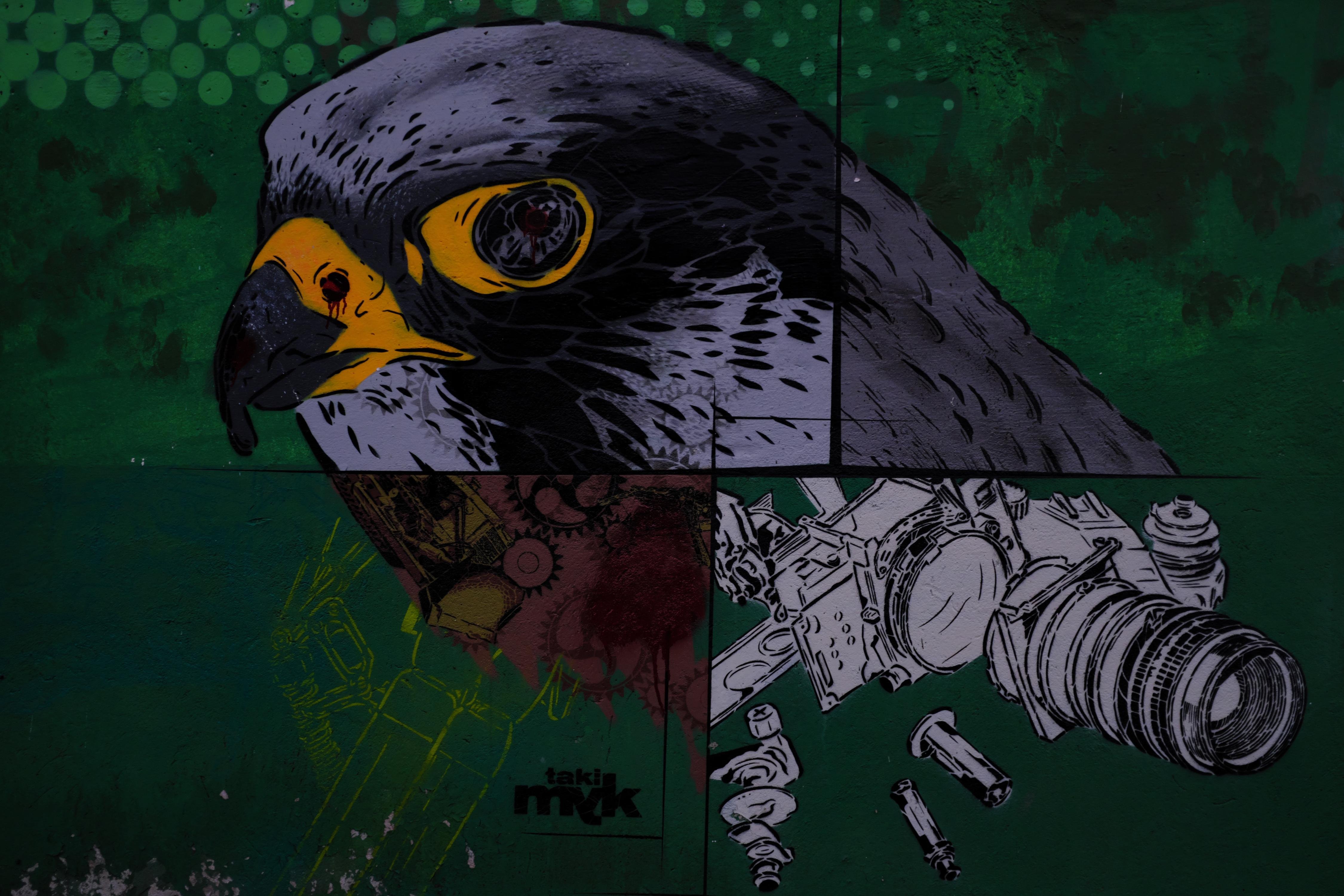 Graffiti mural of a falcon's head and a detailed mechanical drawing. The falcon is depicted with realistic detailing, set against a green background with circular patterns. Adjacent to the bird, a sketched mechanical image includes gears and a camera lens, blending natural and industrial elements. The mural includes a signature "takl mryk" near the bottom.