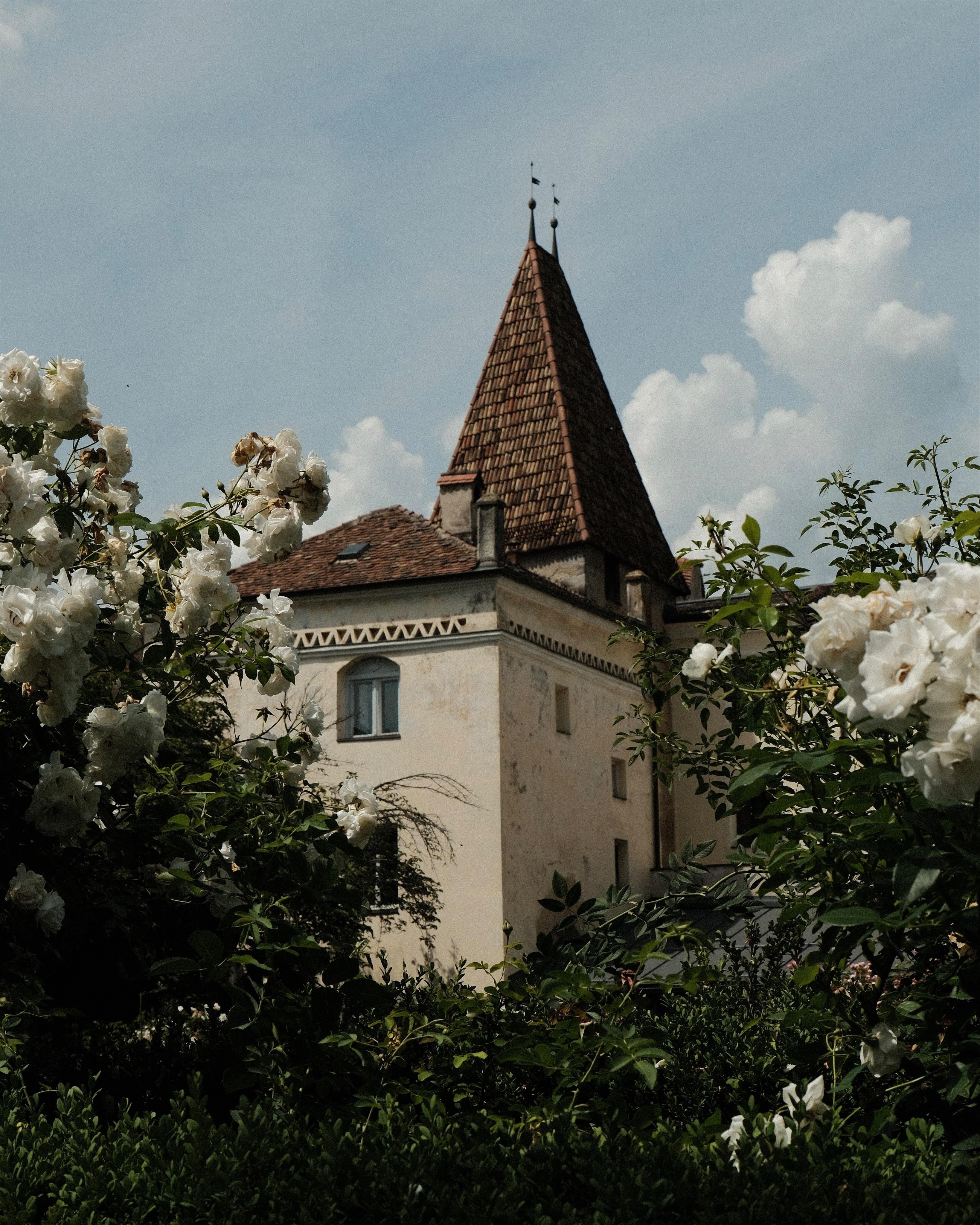 Off-white building with a steep brown-tiled tower roof and small windows, viewed through foreground bushes and blooming white roses under a partly cloudy sky.