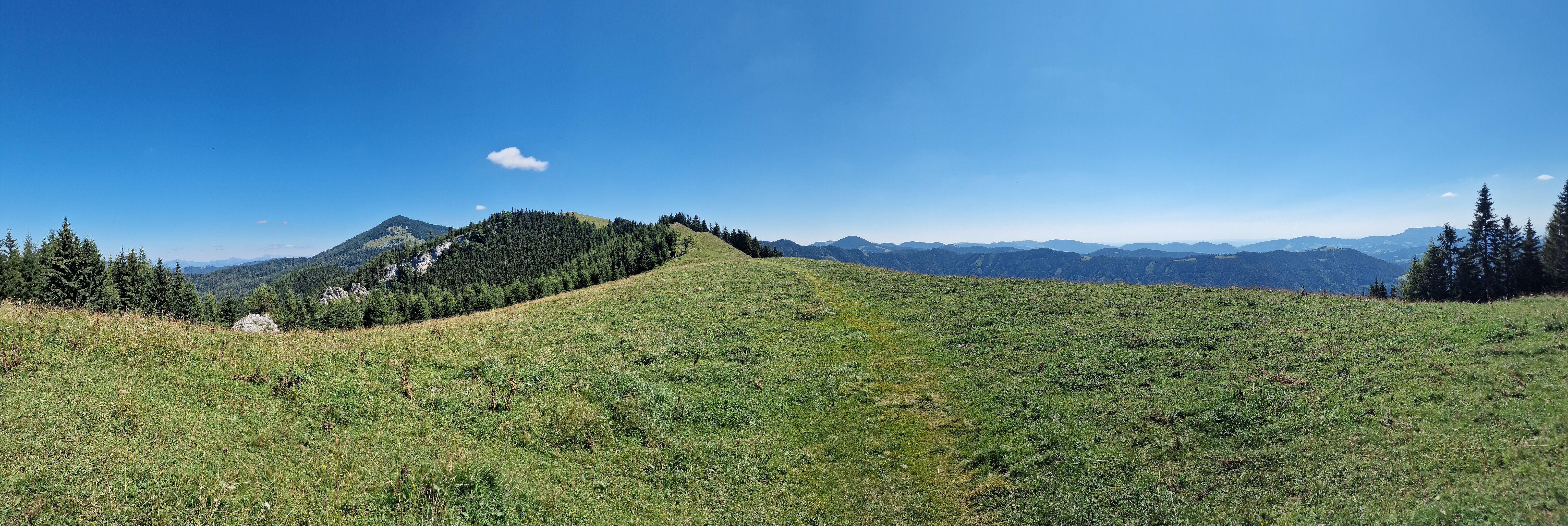 A sweeping panoramic view captures the freedom of the high ridge between the Tyrnauer Alm and the Rote Wand. A faint path cuts through the tall, sun-lit grass, leading the eye along the spine of the mountain. To the left, the ground drops away into a thick, dark forest of evergreens, while the right side remains an open, rolling meadow. In the distance, a sea of blue mountain peaks fades into the horizon, broken only by a single, fluffy white cloud drifting in the bright blue sky.

Added Info: This type of trail is known as a "Gratwanderung" (ridge hike). Walking along the spine of the mountain offers the best of both worlds: the safety of the grassy slope on one side and the dramatic, airy views down into the valley on the other. That solitary cloud is a classic sign of stable high-pressure weather—perfect conditions for tackling the exposed sections of the Rote Wand.
