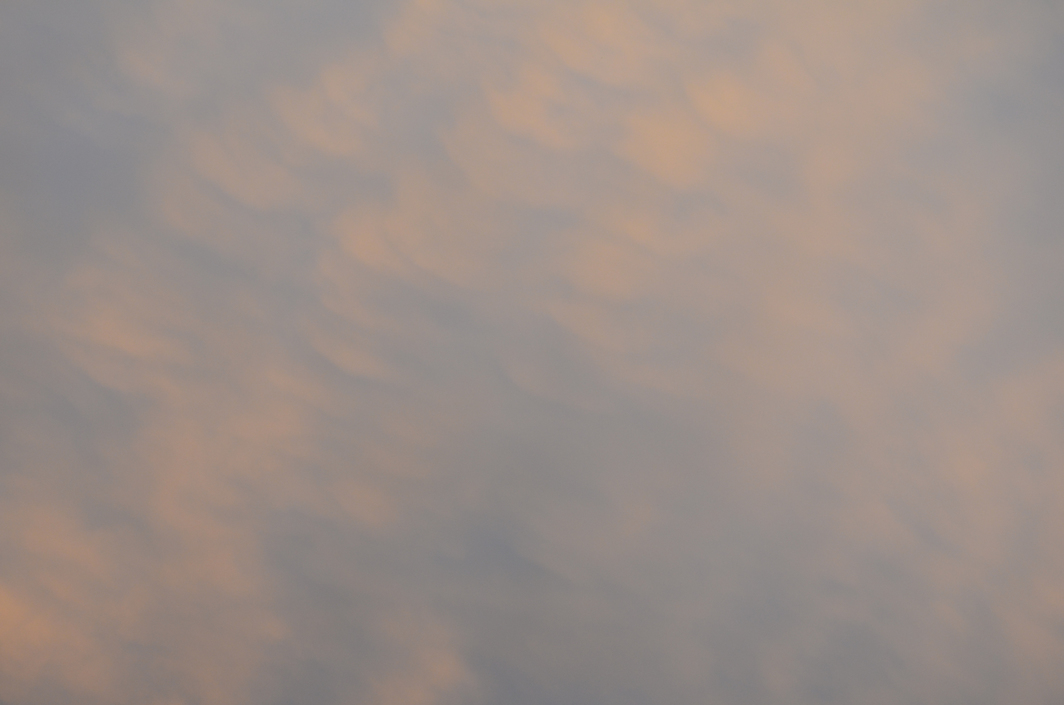 header profile
