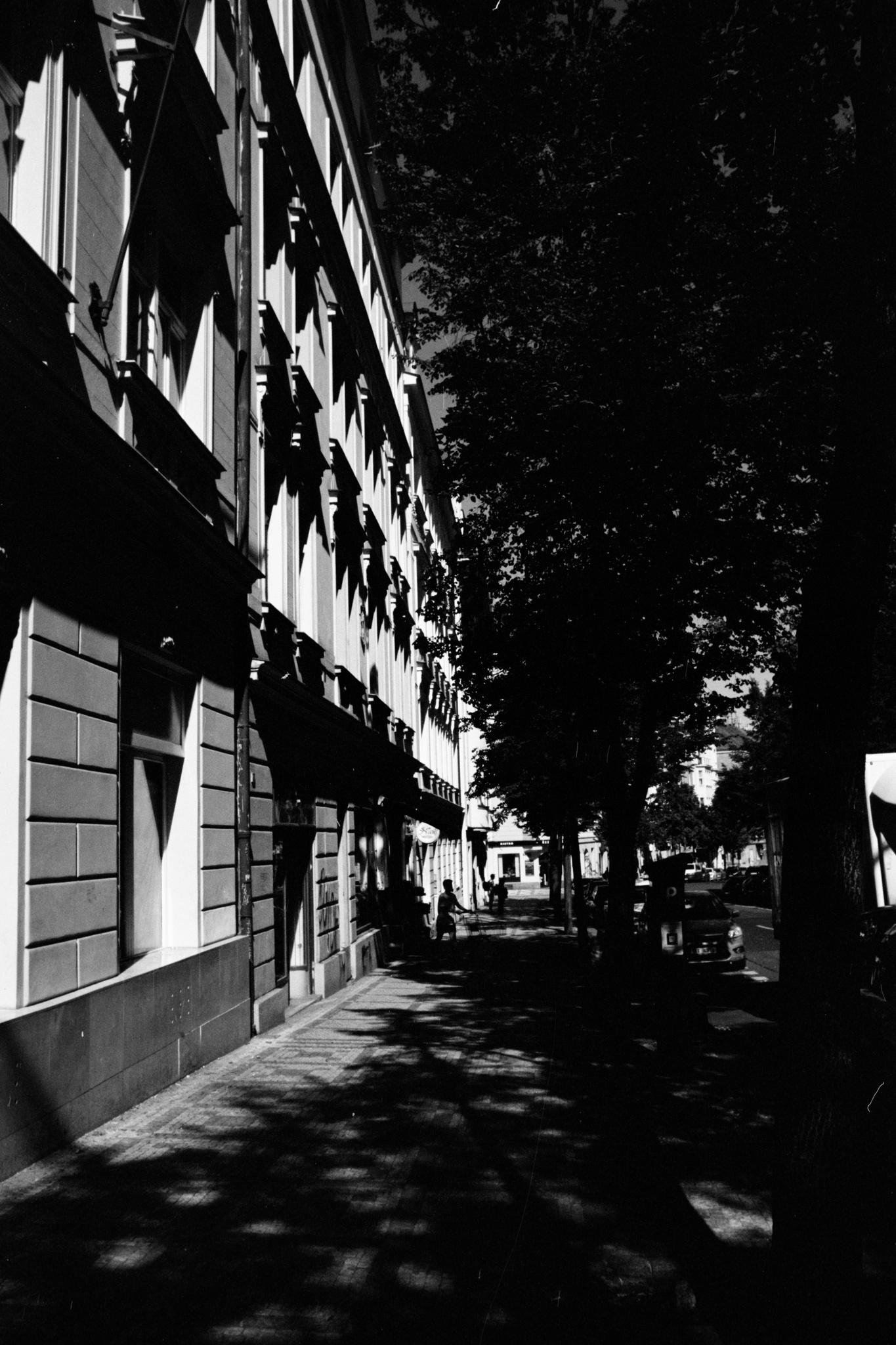 Black-and-white street scene with a tall apartment building on the left, a tree-lined sidewalk in deep shadow, and parked cars along the curb on the right; a few pedestrians appear in the distance under dappled light.