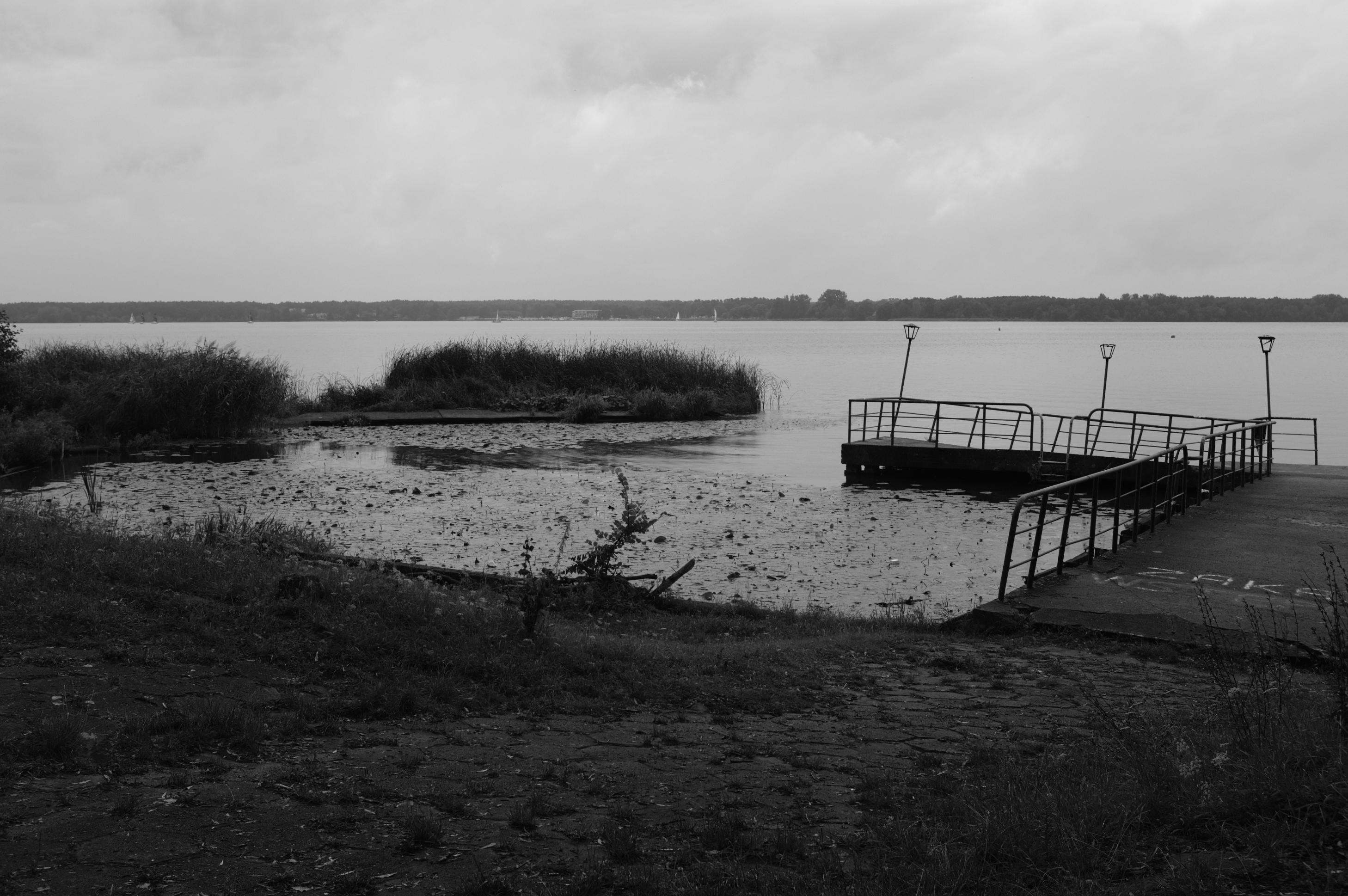 Black and white image of a lakeside scene with a pier extending into the water from the right. The pier has lamp posts and is surrounded by overgrown grass and bushes. The lake is calm, with a distant shoreline and cloudy sky overhead.