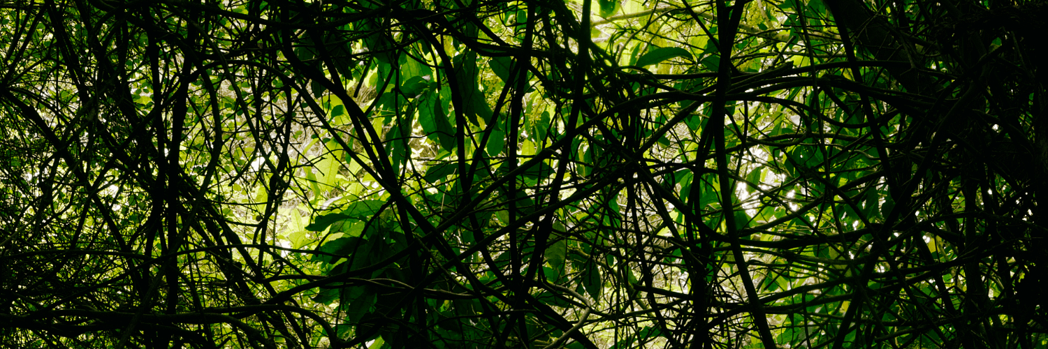 header profile