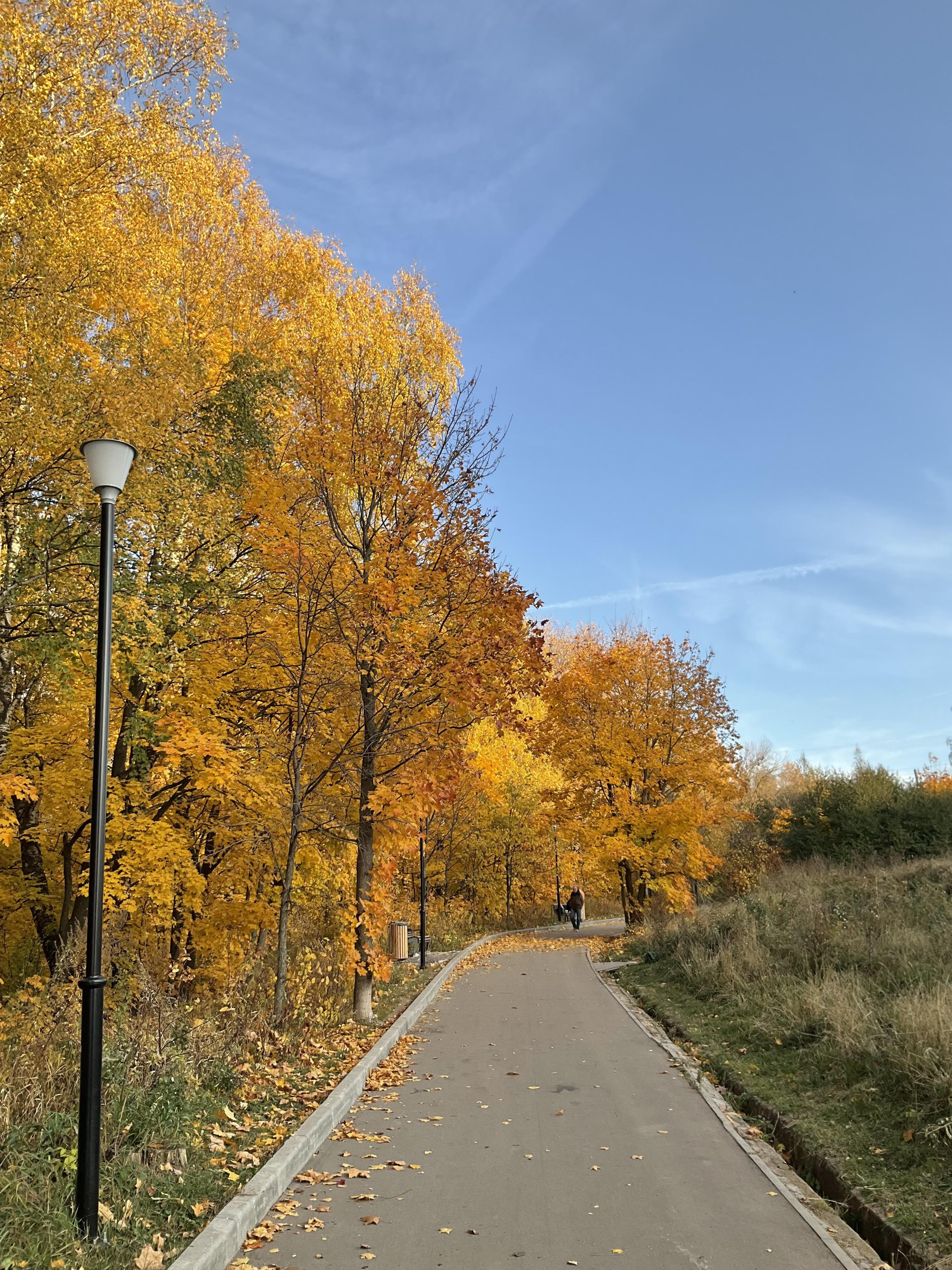 Золотая осень