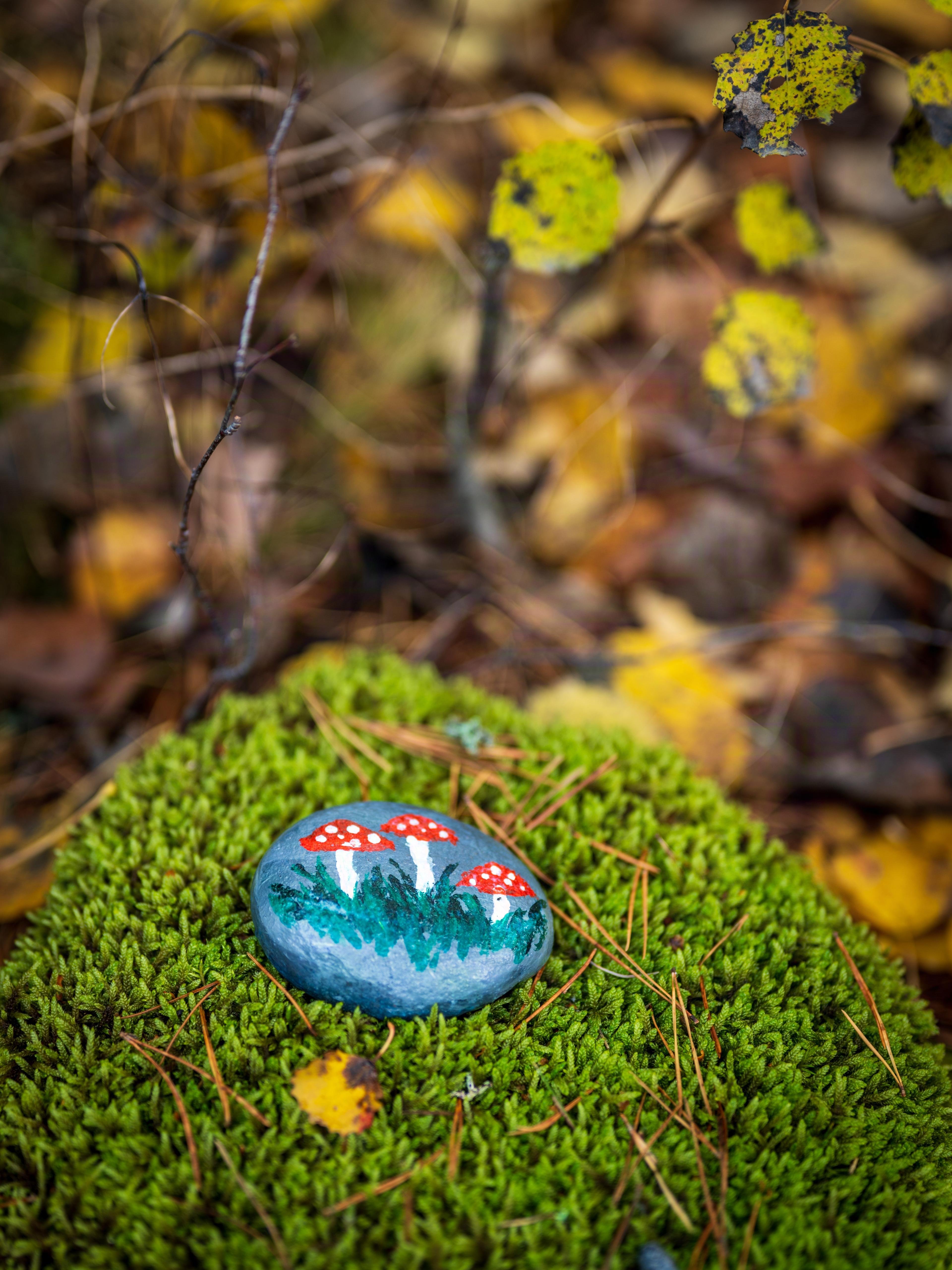 Painted stone depicting three red and white mushrooms, positioned on a bed of green moss. Surrounding area features scattered pine needles and blurred yellow and brown autumn leaves.