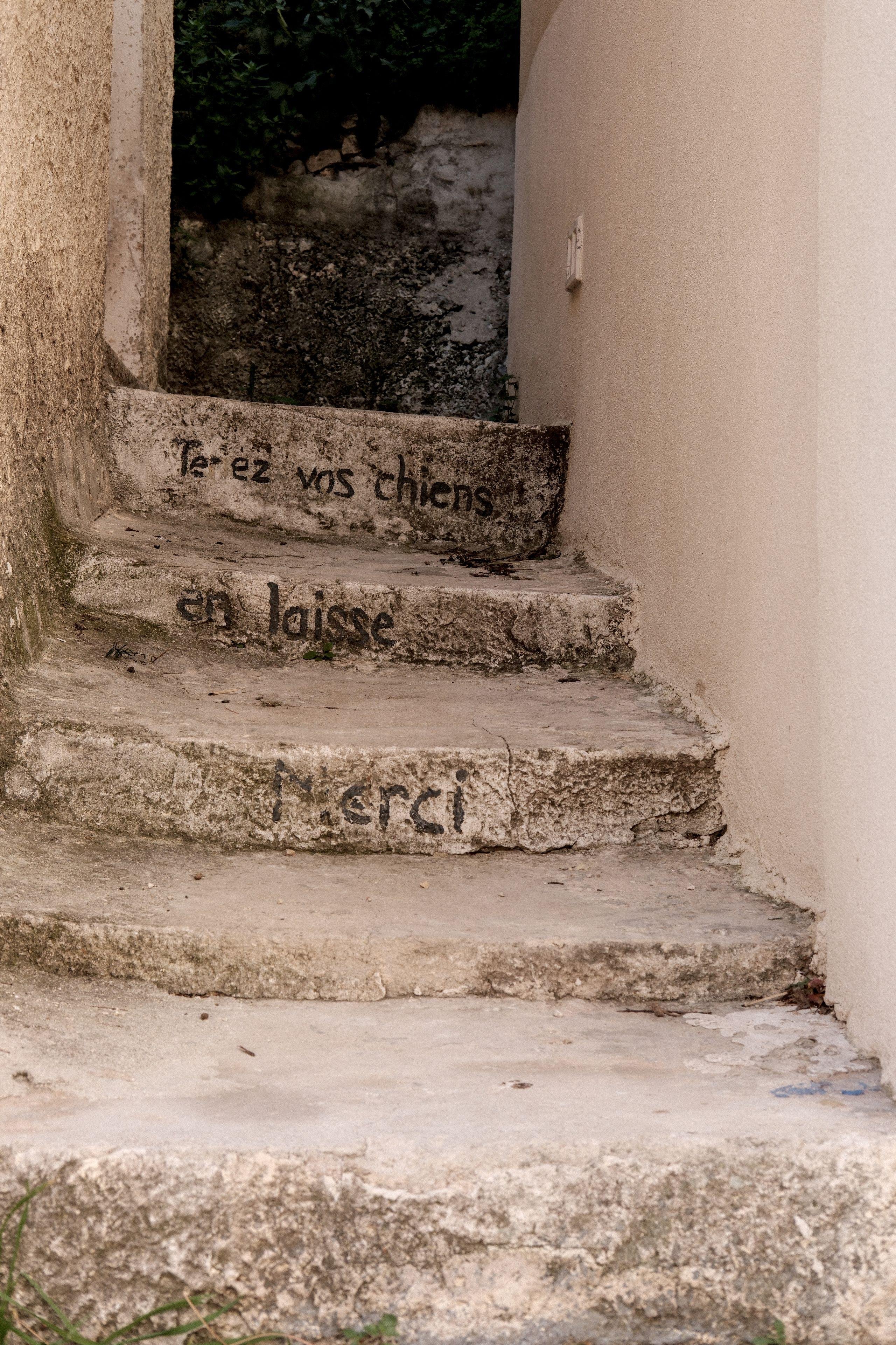 Photo verticale. Des escaliers en pierre, avec peint sur la face des 3 dernières marches «&nbsp;Tenez vos chiens en laisse. Merci&nbsp;»