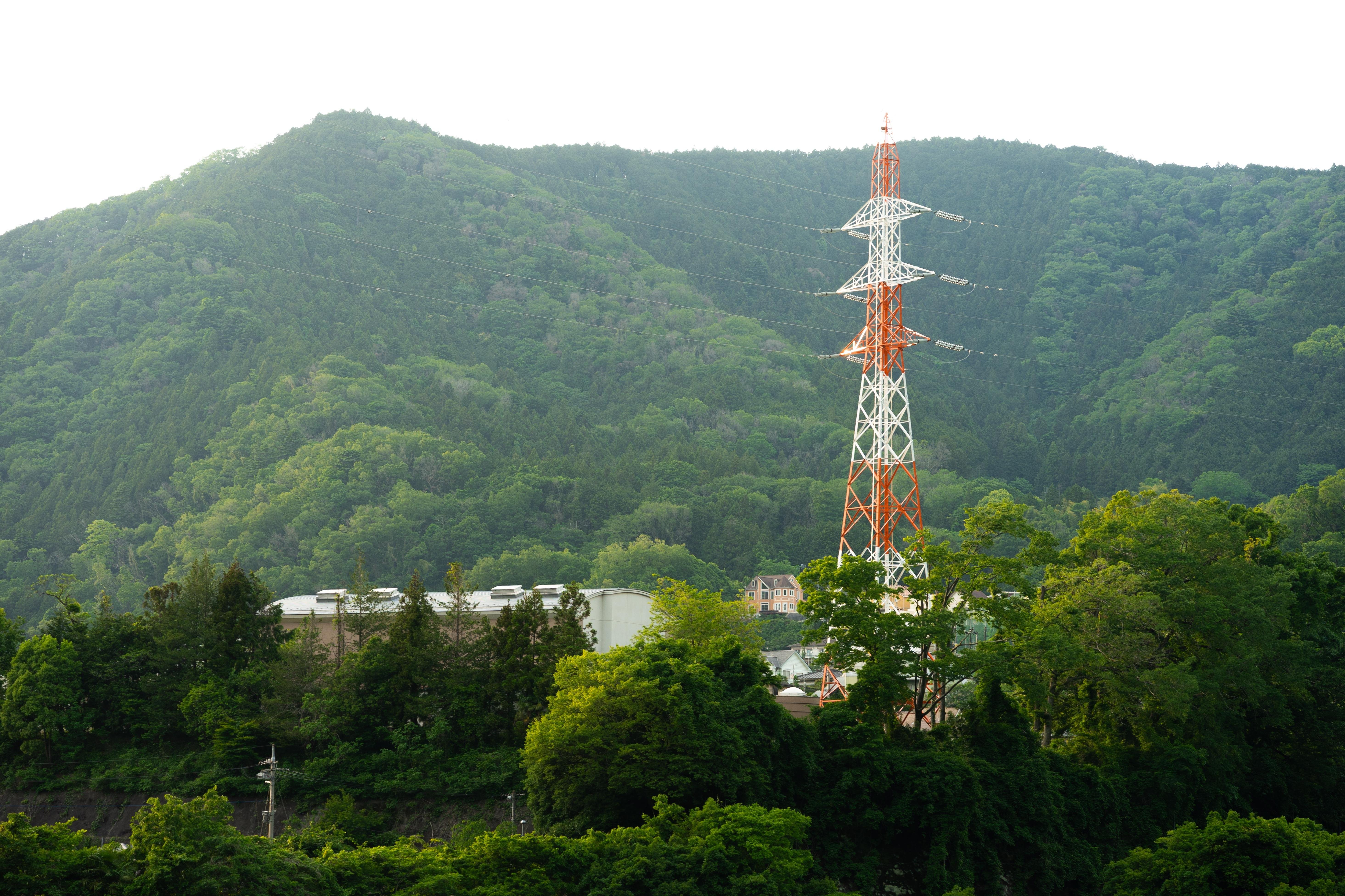 Red and white transmission tower amidst dense green foliage in the foreground. Large, tree-covered mountains form the background under an overcast sky. A few buildings are partially visible among the trees near the base of the tower.