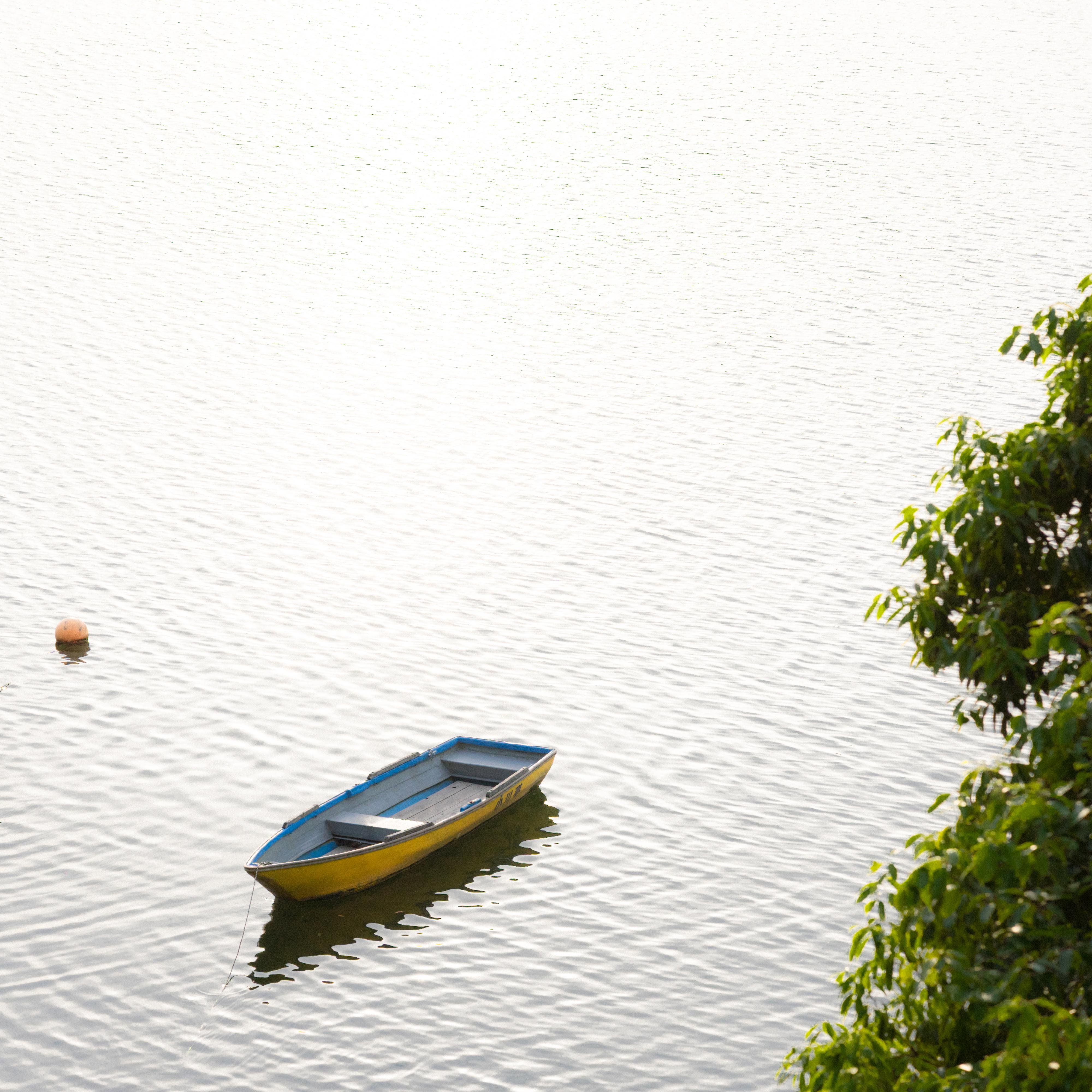 A small blue and yellow boat floating on calm water, with gentle ripples surrounding it. A single orange buoy is visible nearby. Lush green foliage extends into the frame from the right side.