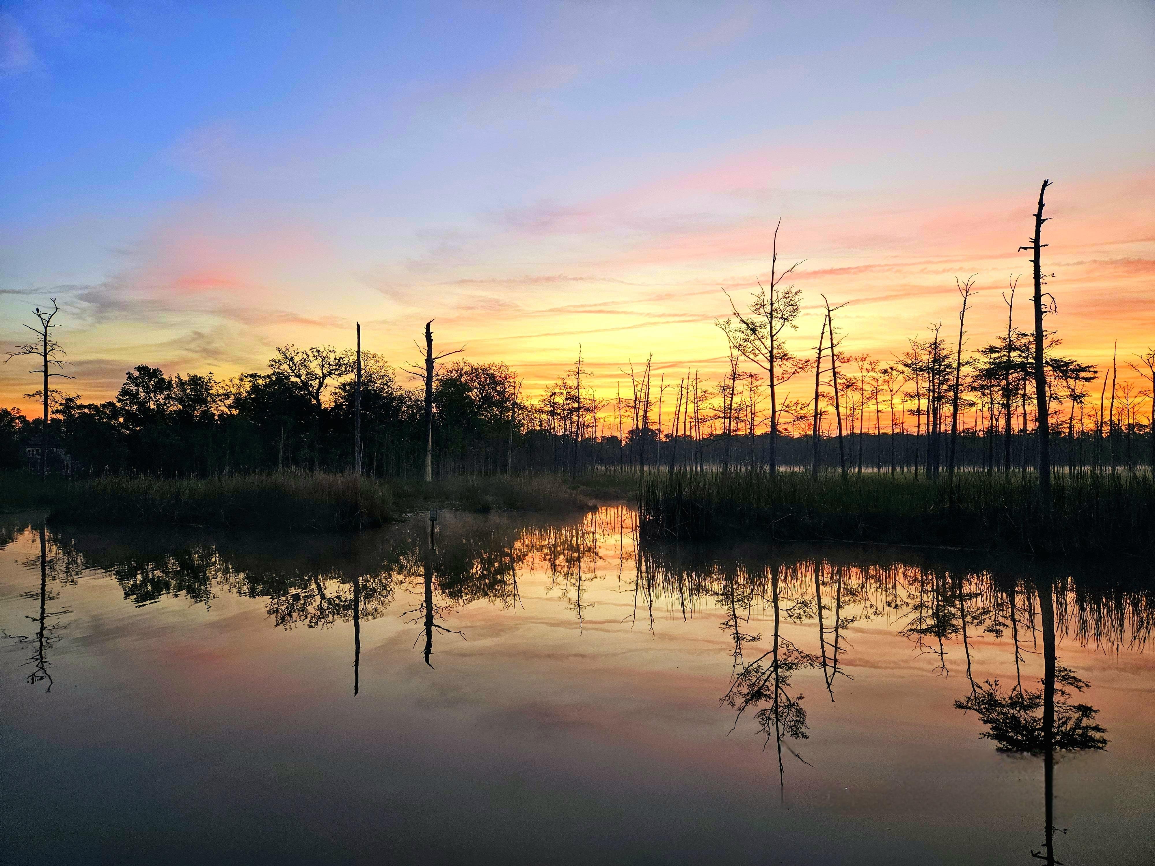 Colorful sunrise sky with shades of orange, pink, and blue over a calm water body. Reflections of bare trees and surrounding vegetation are visible on the water's surface, creating a mirrored effect. The horizon features a line of tall, leafless trees and dense shrubs.