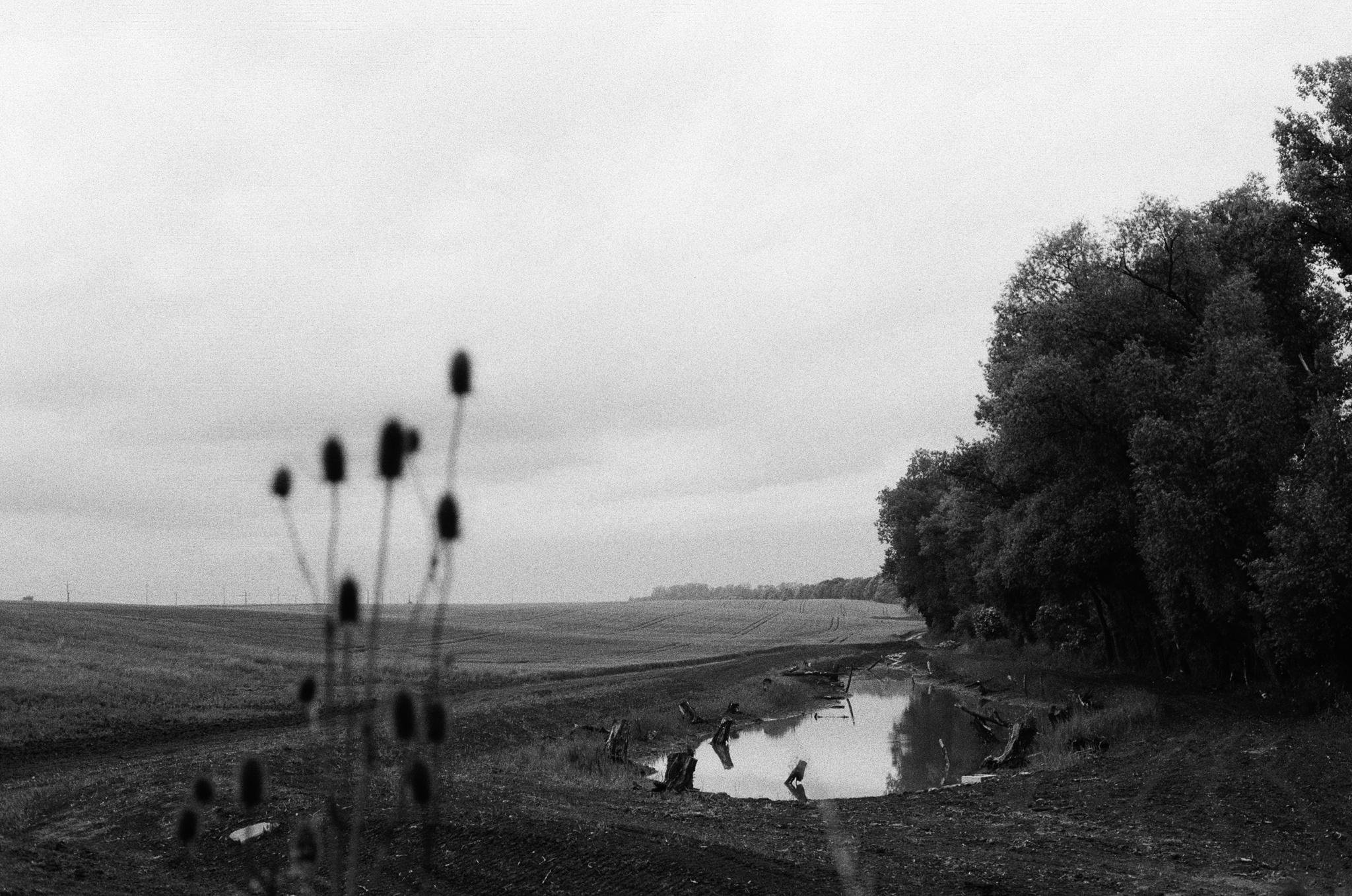Black-and-white landscape with an overcast sky, an open field on the left, and a tree line on the right bordering a narrow pond or stream with reflections; blurred tall weeds in the foreground.