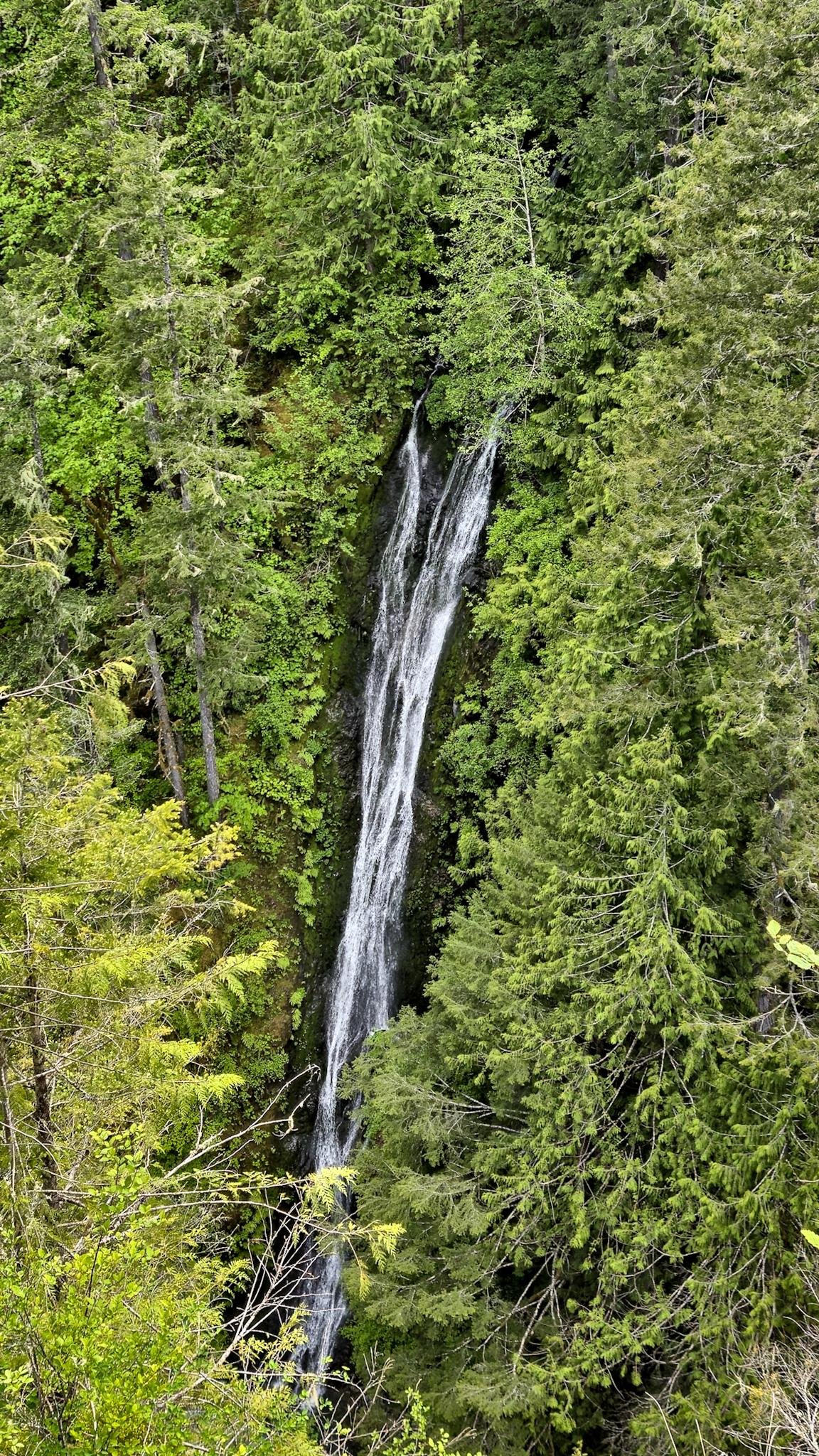 A narrow waterfall cascades down a rocky cliff, surrounded by dense green foliage and tall trees. The water appears white against the dark, moss-covered rocks, creating a vertical line through the lush forest scenery.