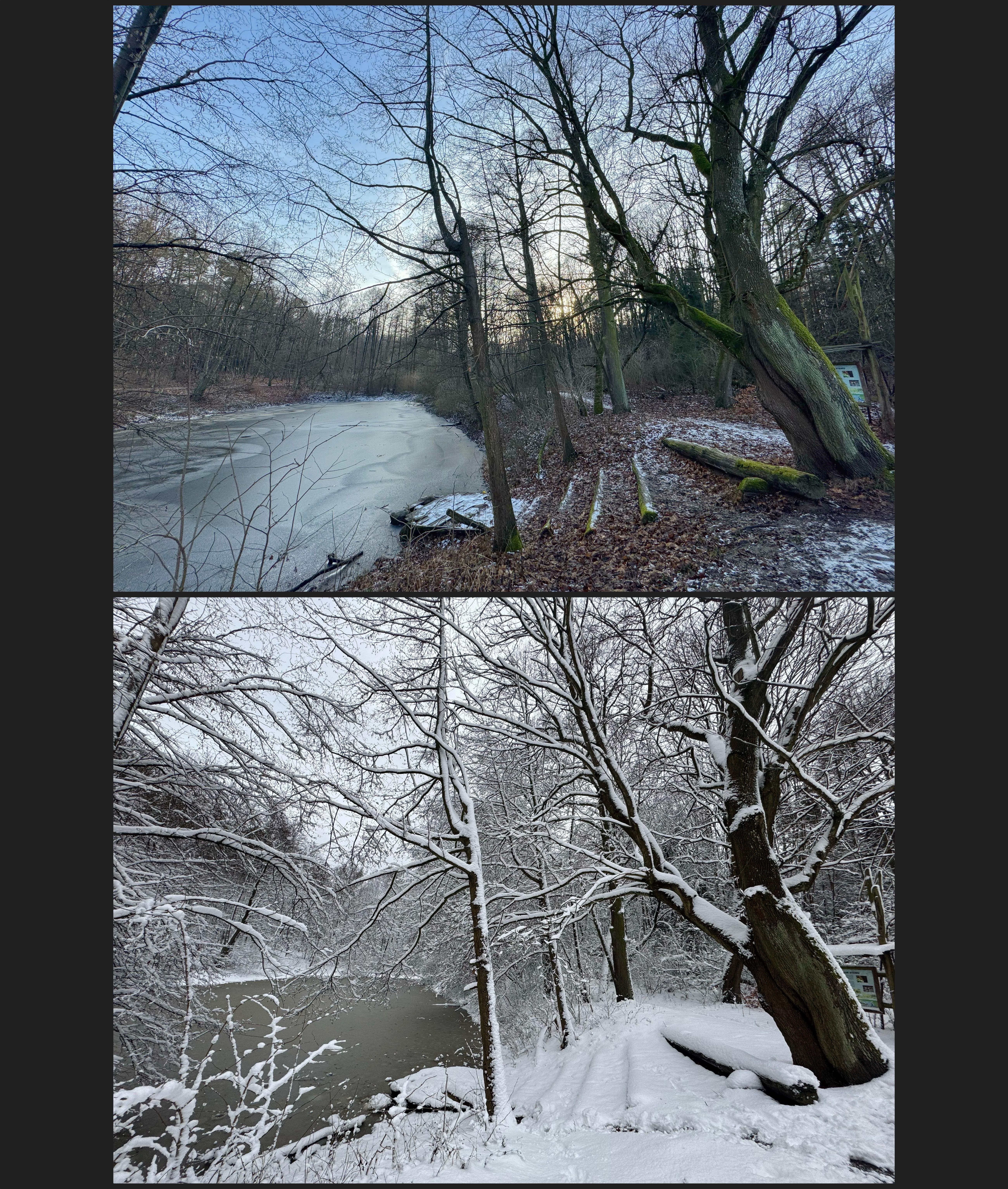 The image shows two views of a pond in a forested area during two different seasons. The top image is a winter scene with bare trees and a partially frozen water body, while the bottom image captures the same area covered in snow. The trees are coated with snow, and the scene conveys a serene winter atmosphere.