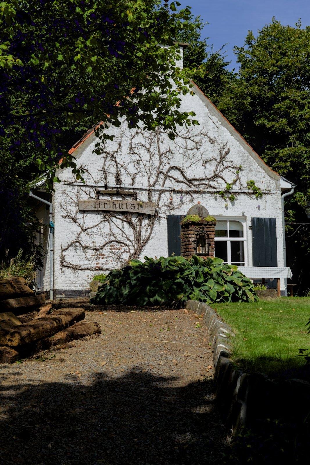 Photo verticale. Une maison de face, triangulaire avec un lierre qui forme comme un arbre aplatit contre la maison
