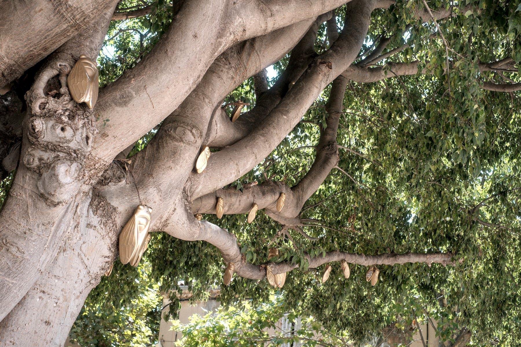 Photo horizontale. Un arbre avec des sculptures de cigales dorées accrochés dessus