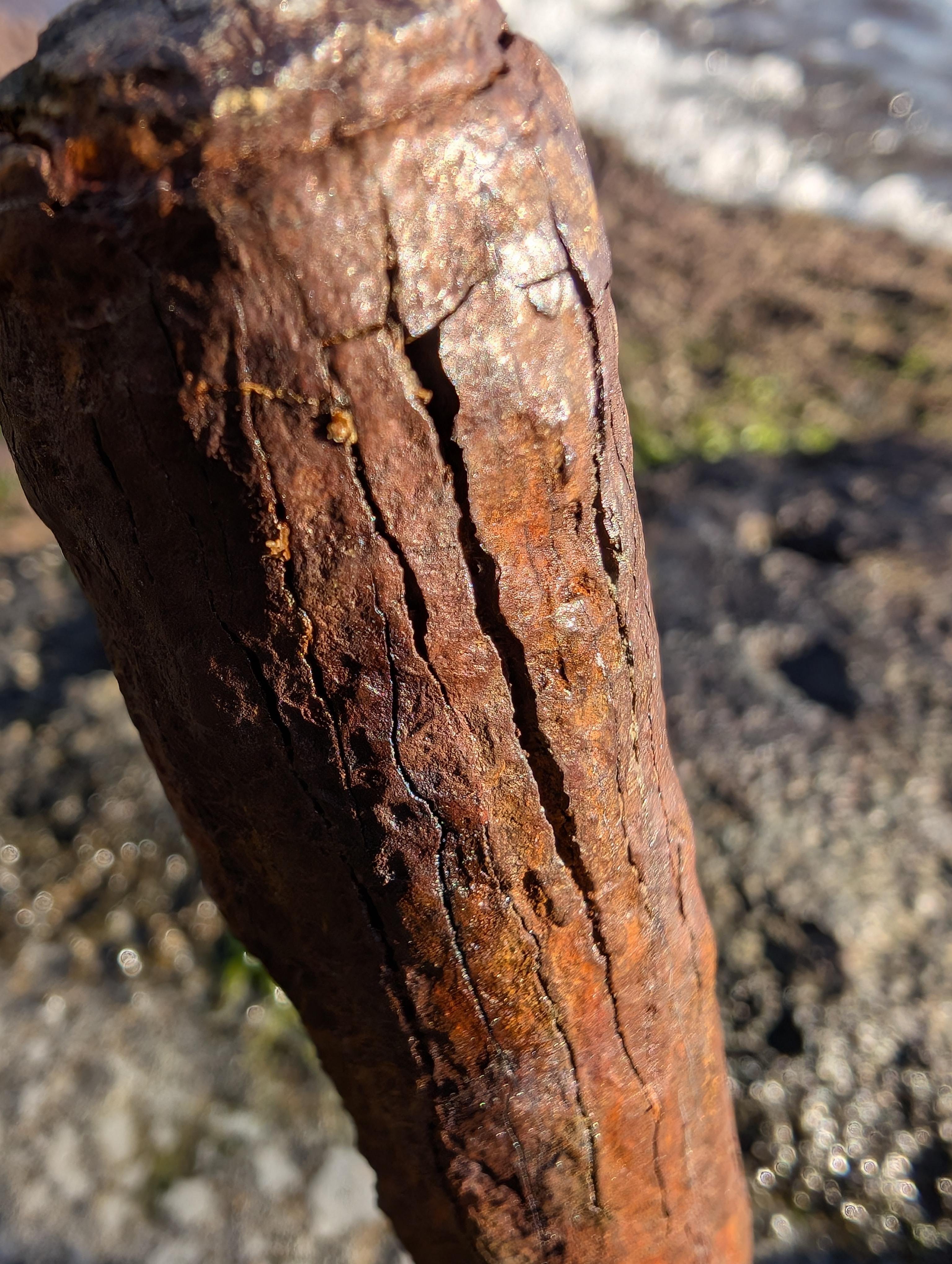 This image shows a heavily rusted cylindrical object, possibly made of metal. The surface is rough and corroded with visible cracks. It seems to be outdoors, possibly near water.
